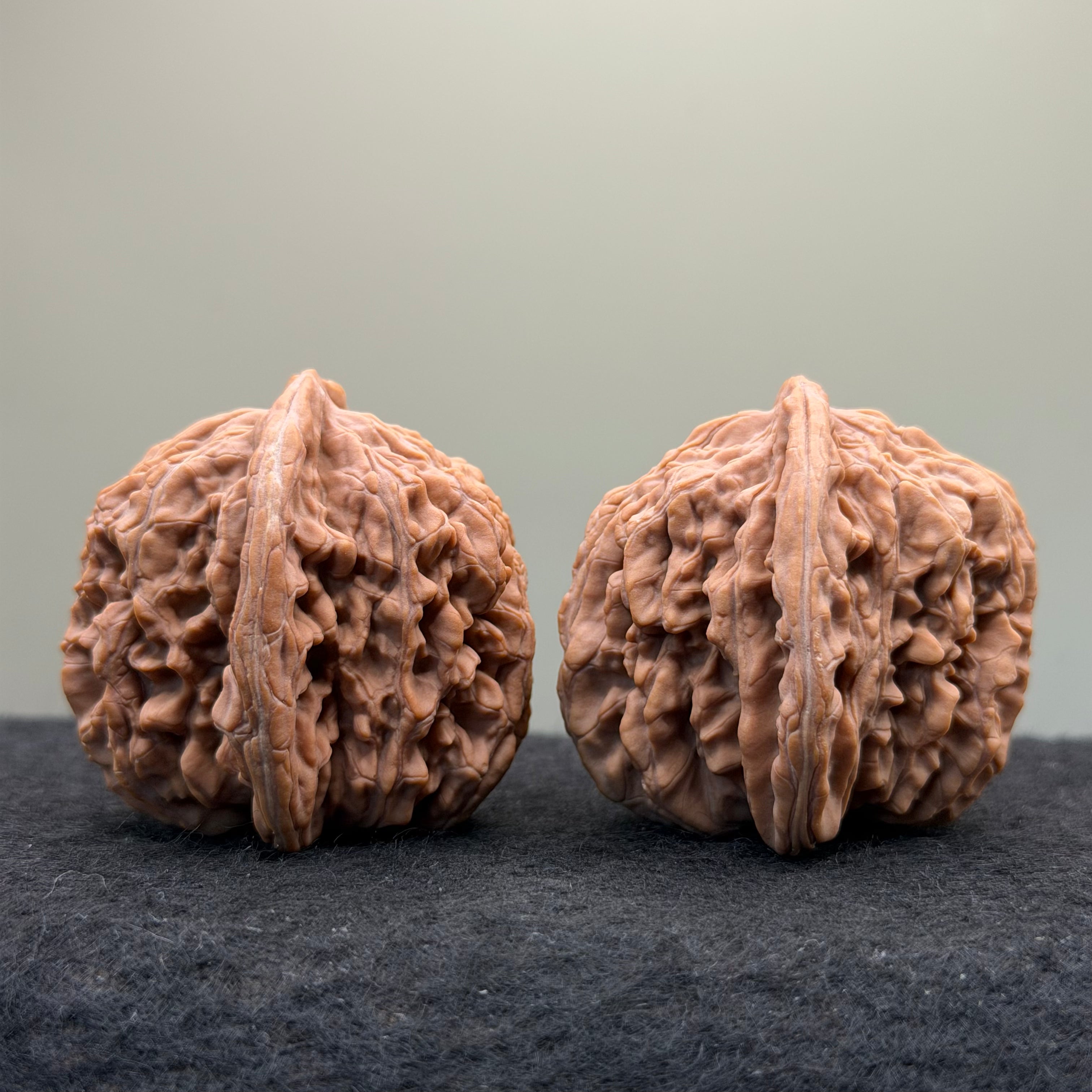 Four Towers Wenwan Walnut · 44mm · Natural · Select Ritual