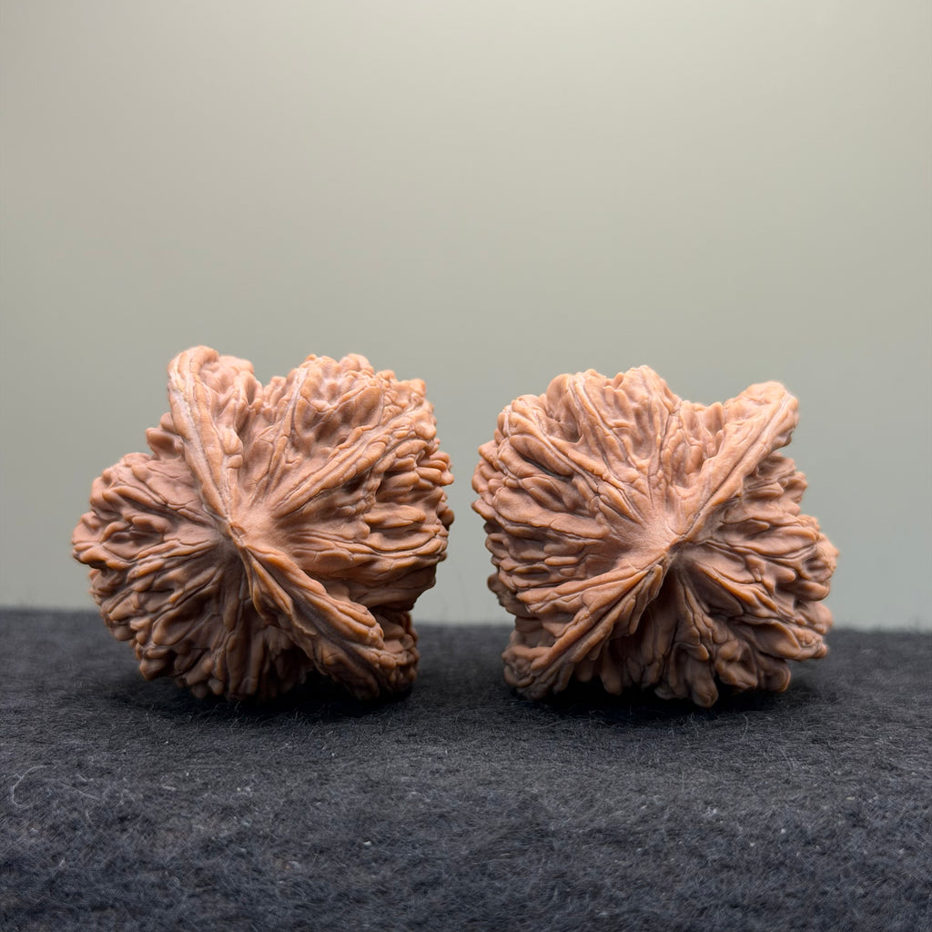 Four Towers Wenwan Walnut · 44mm · Natural · Select Ritual