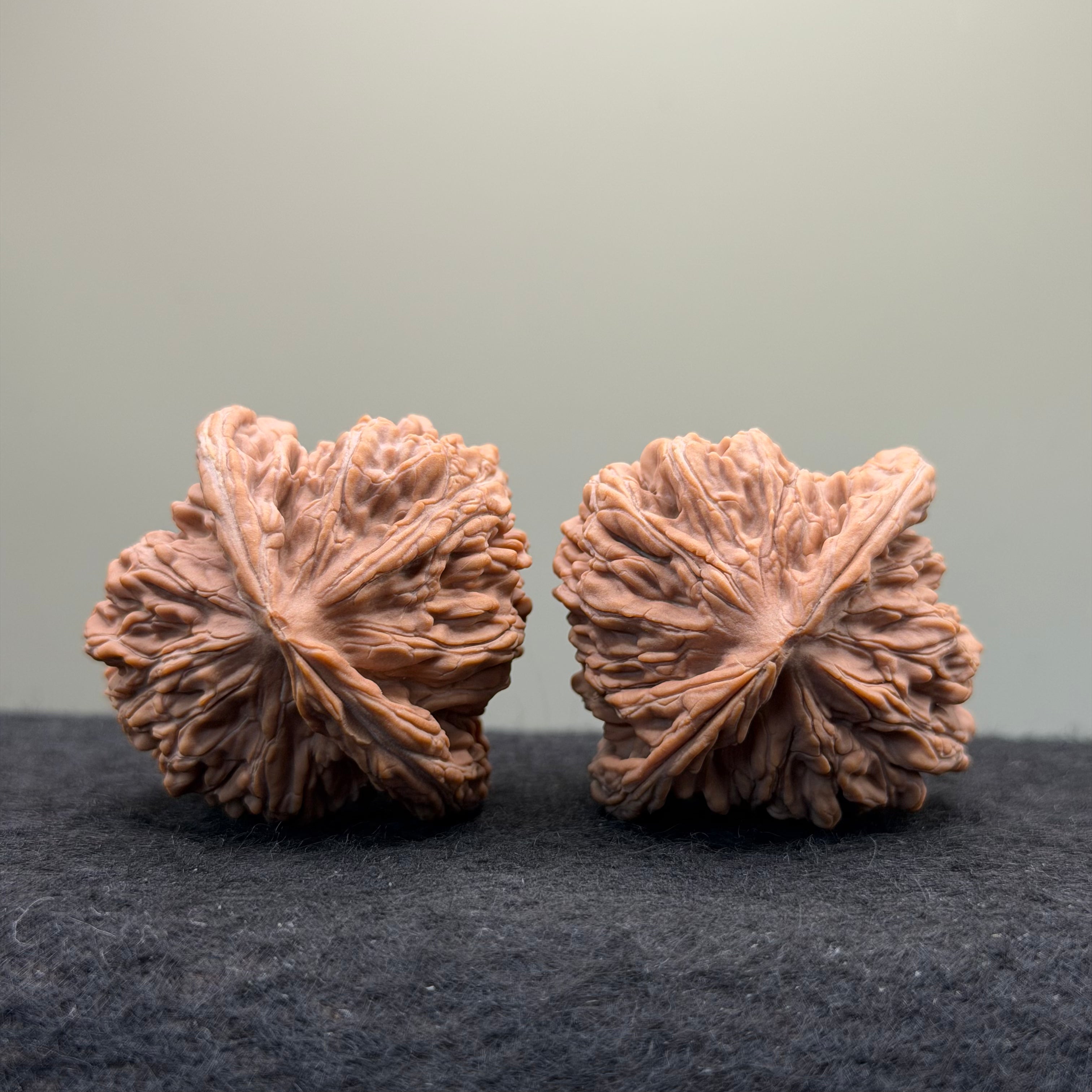 Four Towers Wenwan Walnut · 44mm · Natural · Select Ritual
