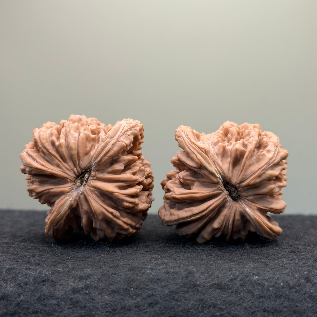 Four Towers Wenwan Walnut · 44mm · Natural · Select Ritual