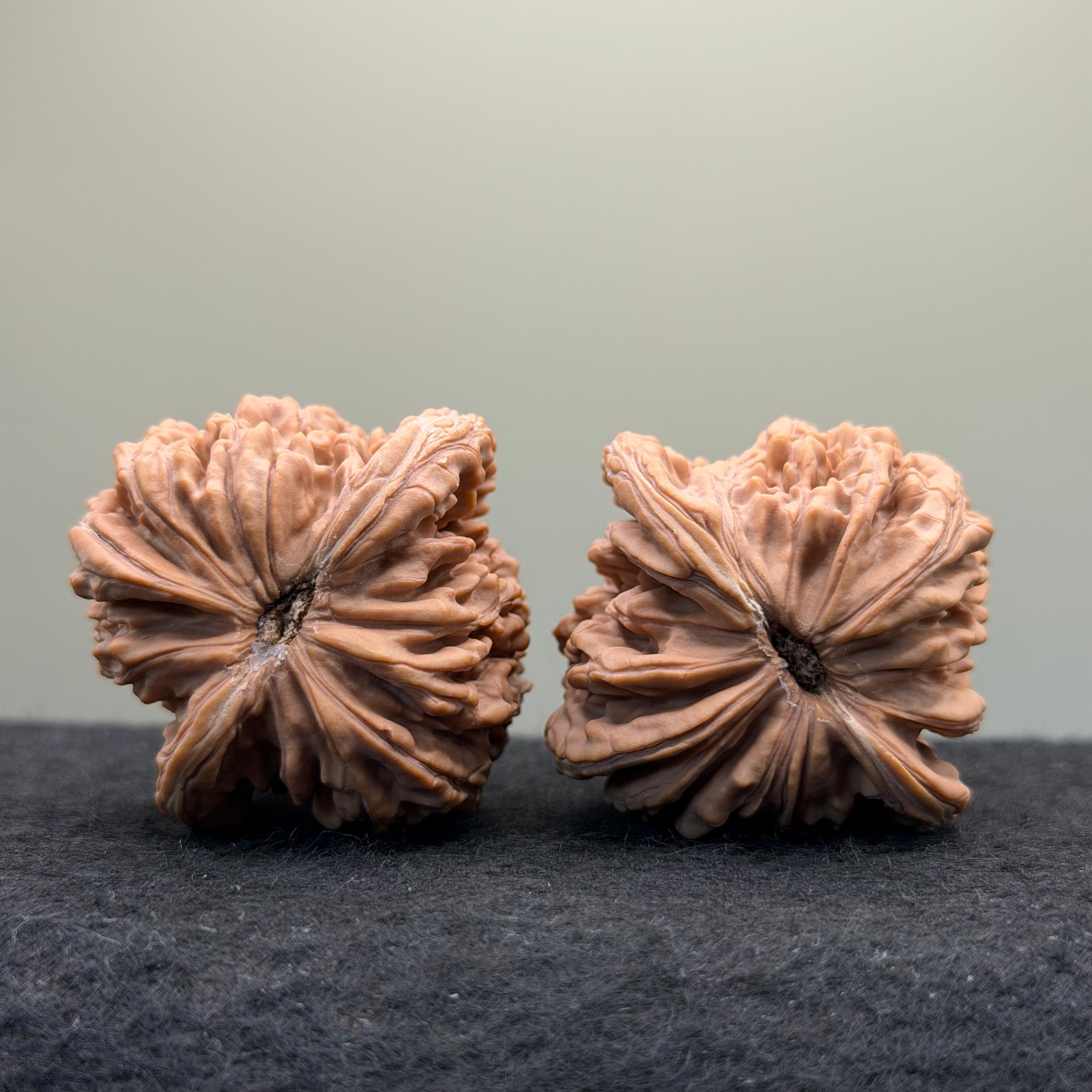 Four Towers Wenwan Walnut · 44mm · Natural · Select Ritual