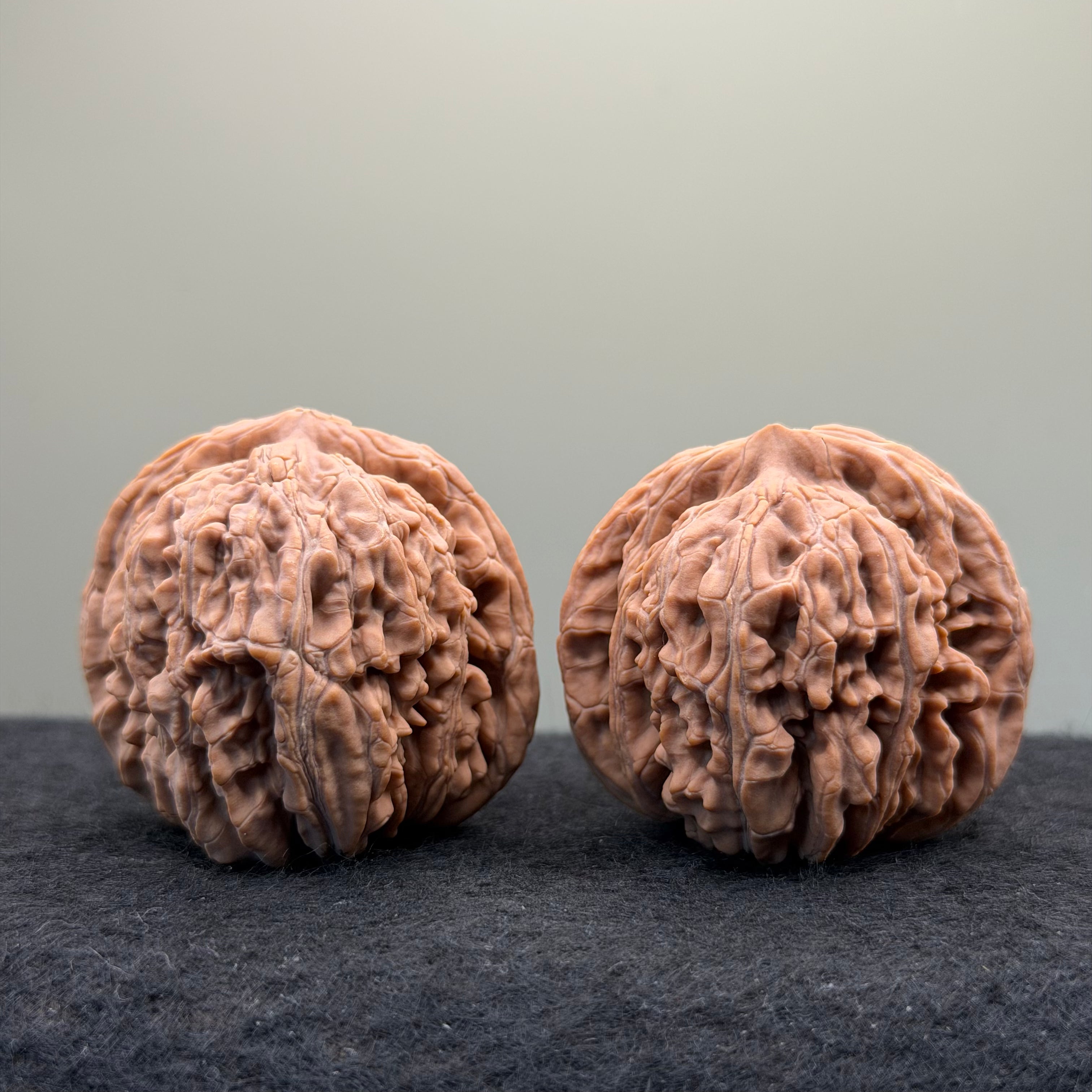 Four Towers Wenwan · 43mm · Natural · Select Ritual