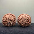 Four Towers Wenwan · 43mm · Natural · Select Ritual