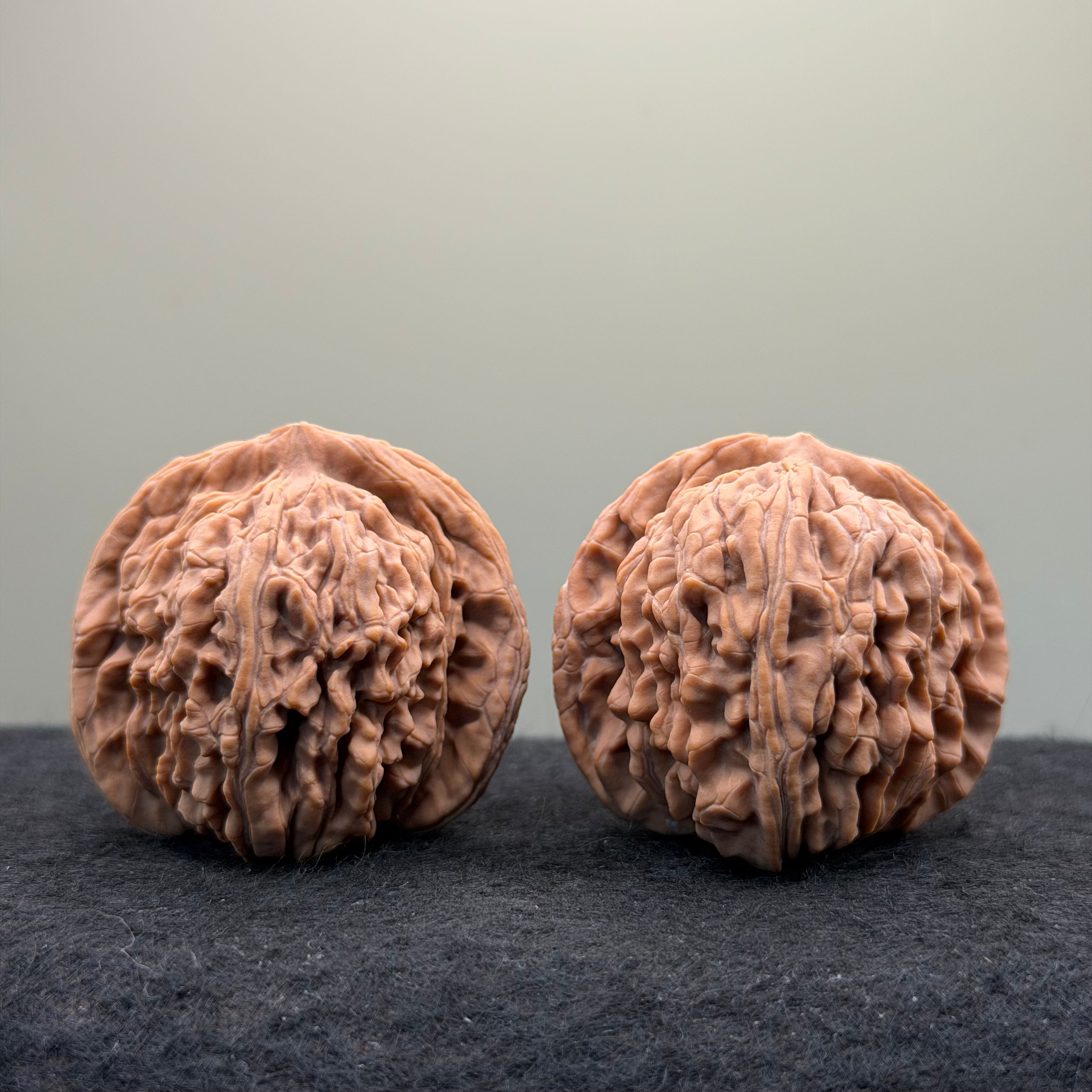 Four Towers Wenwan · 43mm · Natural · Select Ritual