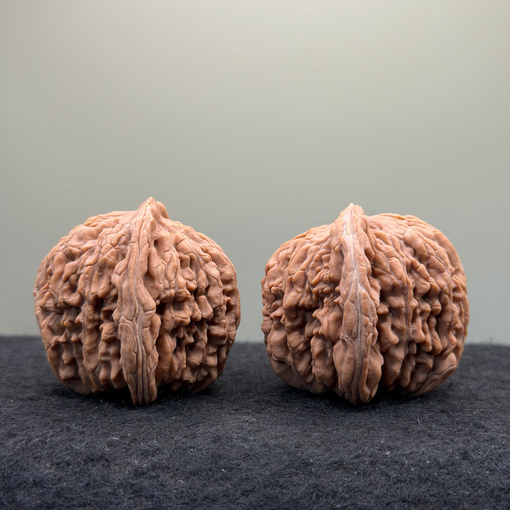 Four Towers Wenwan · 43mm · Natural · Select Ritual