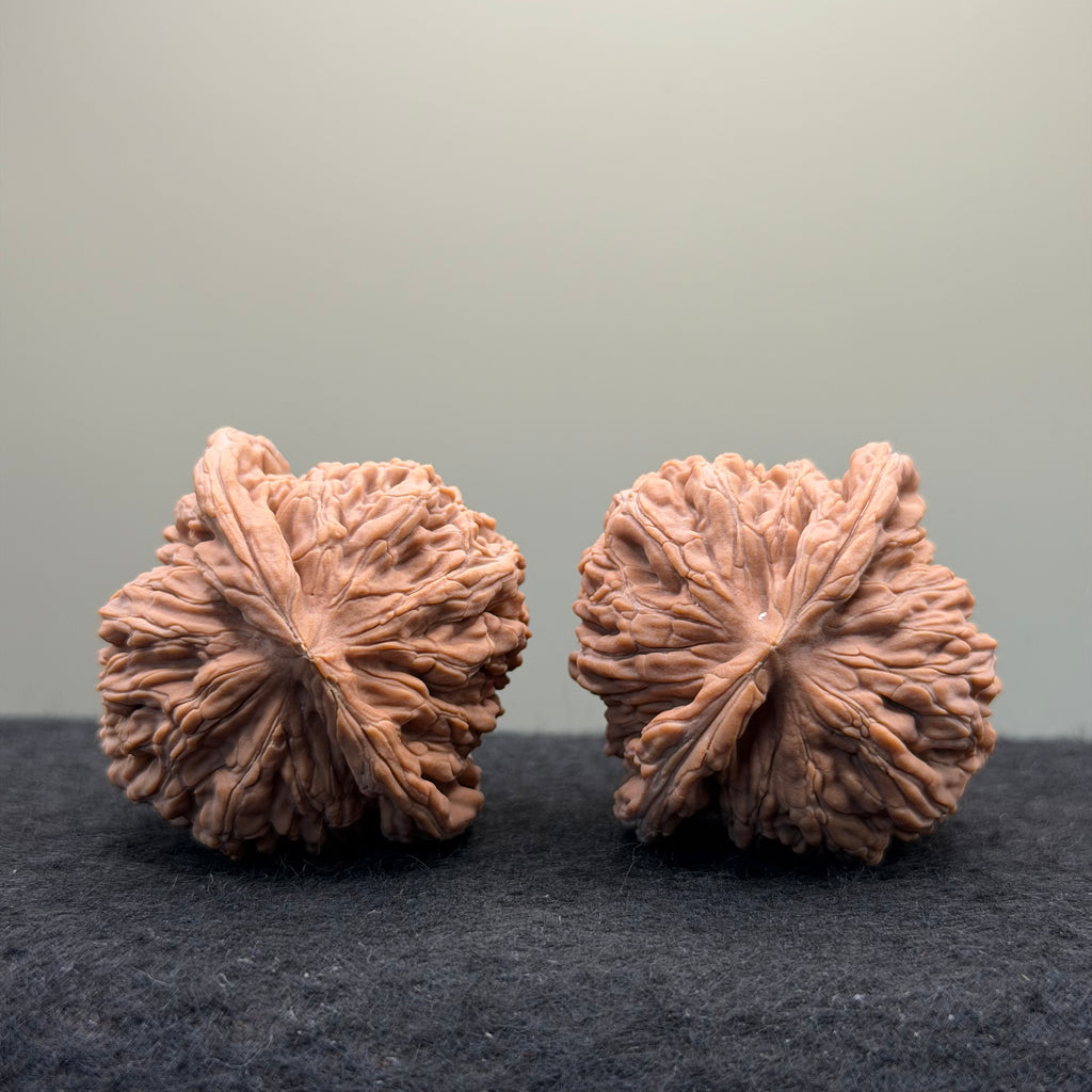 Four Towers Wenwan · 43mm · Natural · Select Ritual