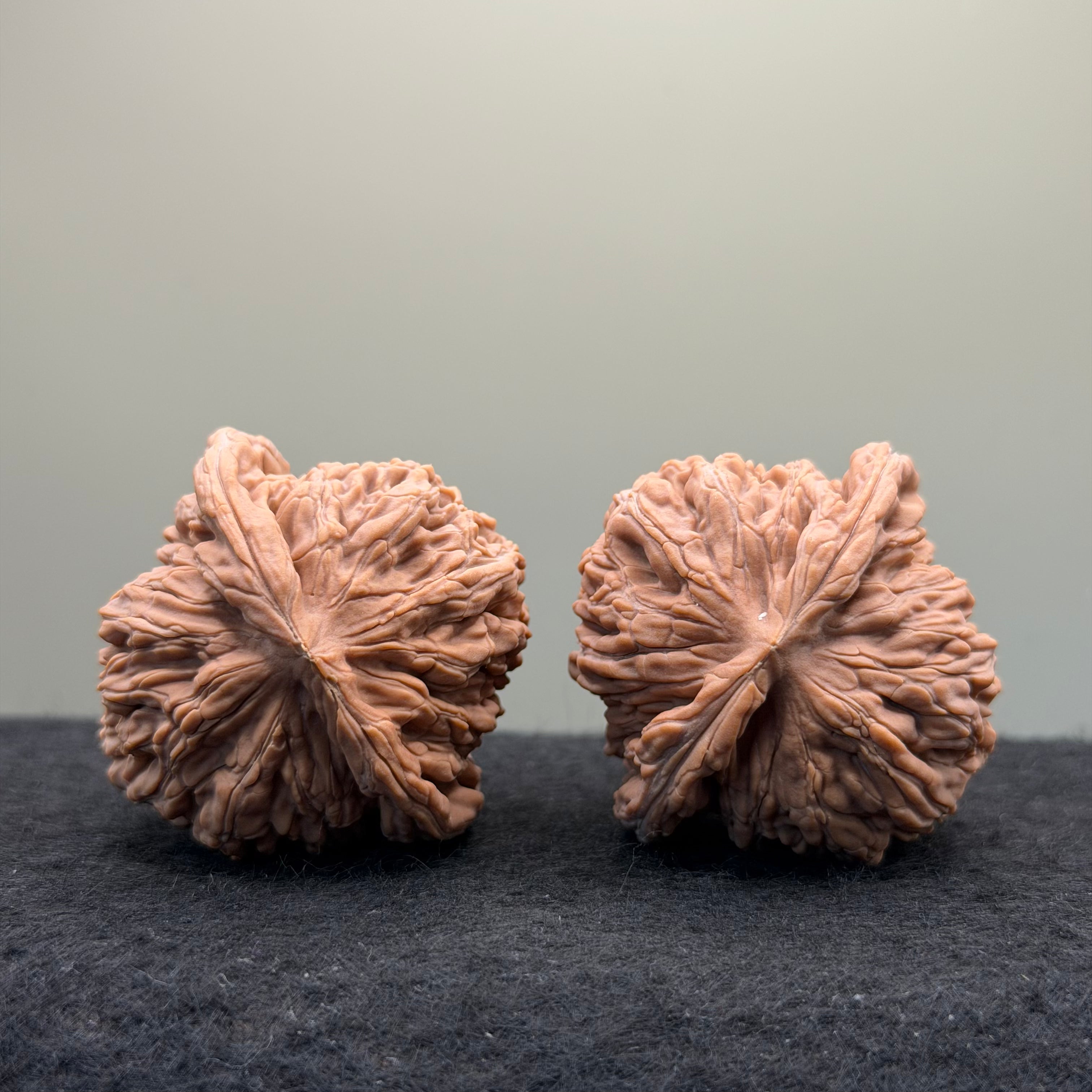 Four Towers Wenwan · 43mm · Natural · Select Ritual