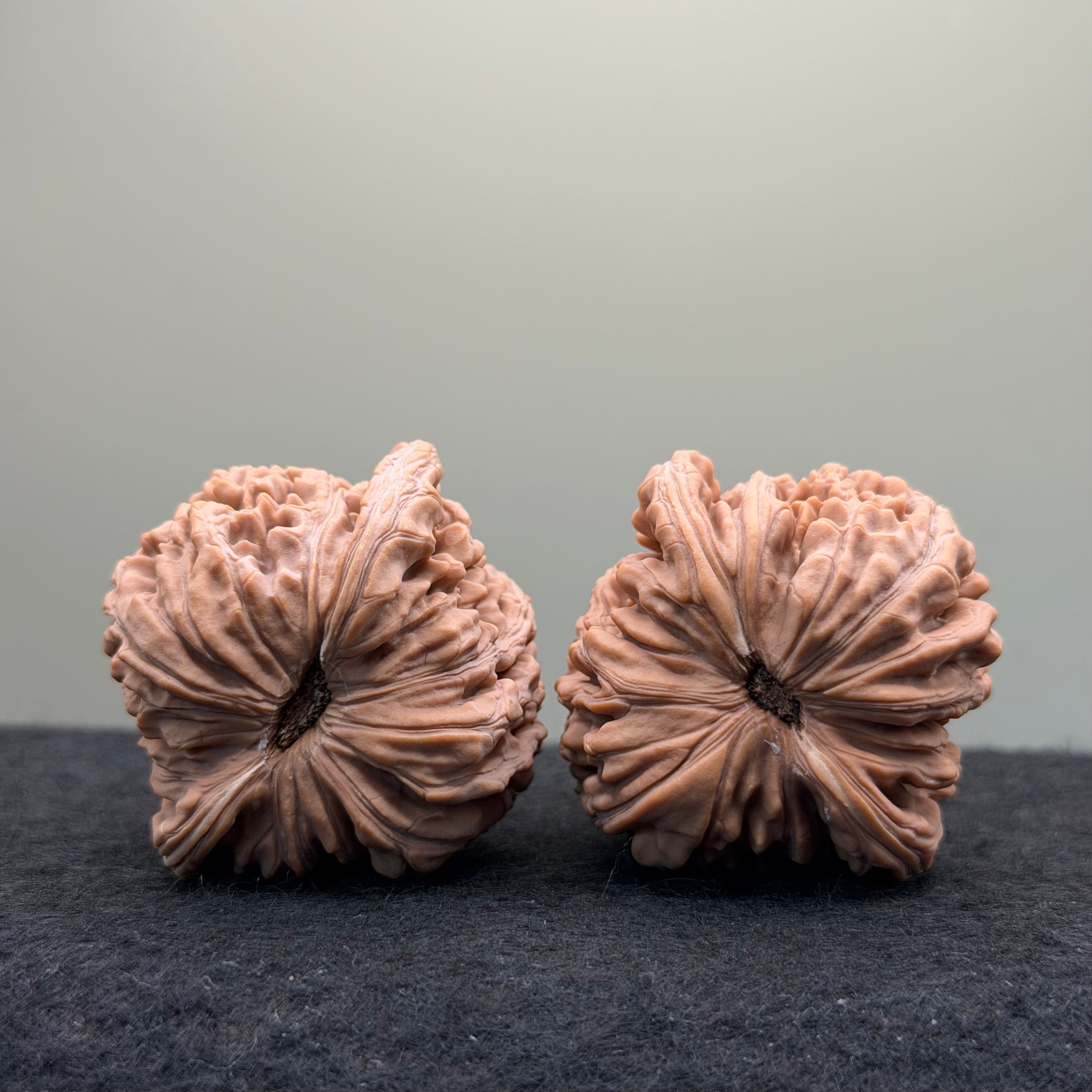 Four Towers Wenwan · 43mm · Natural · Select Ritual