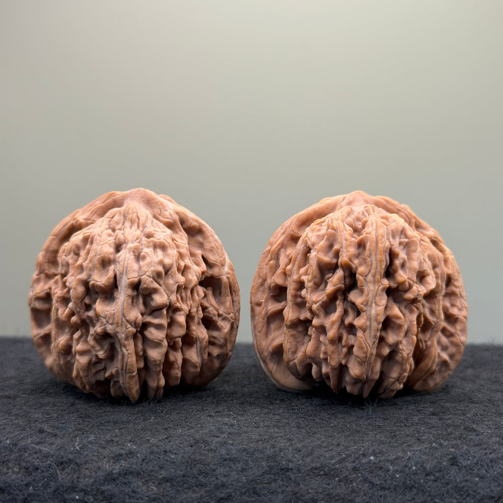 Four Towers Wenwan Walnut · 43mm · Natural · Select Ritual