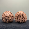 Four Towers Wenwan Walnut · 43mm · Natural · Select Ritual