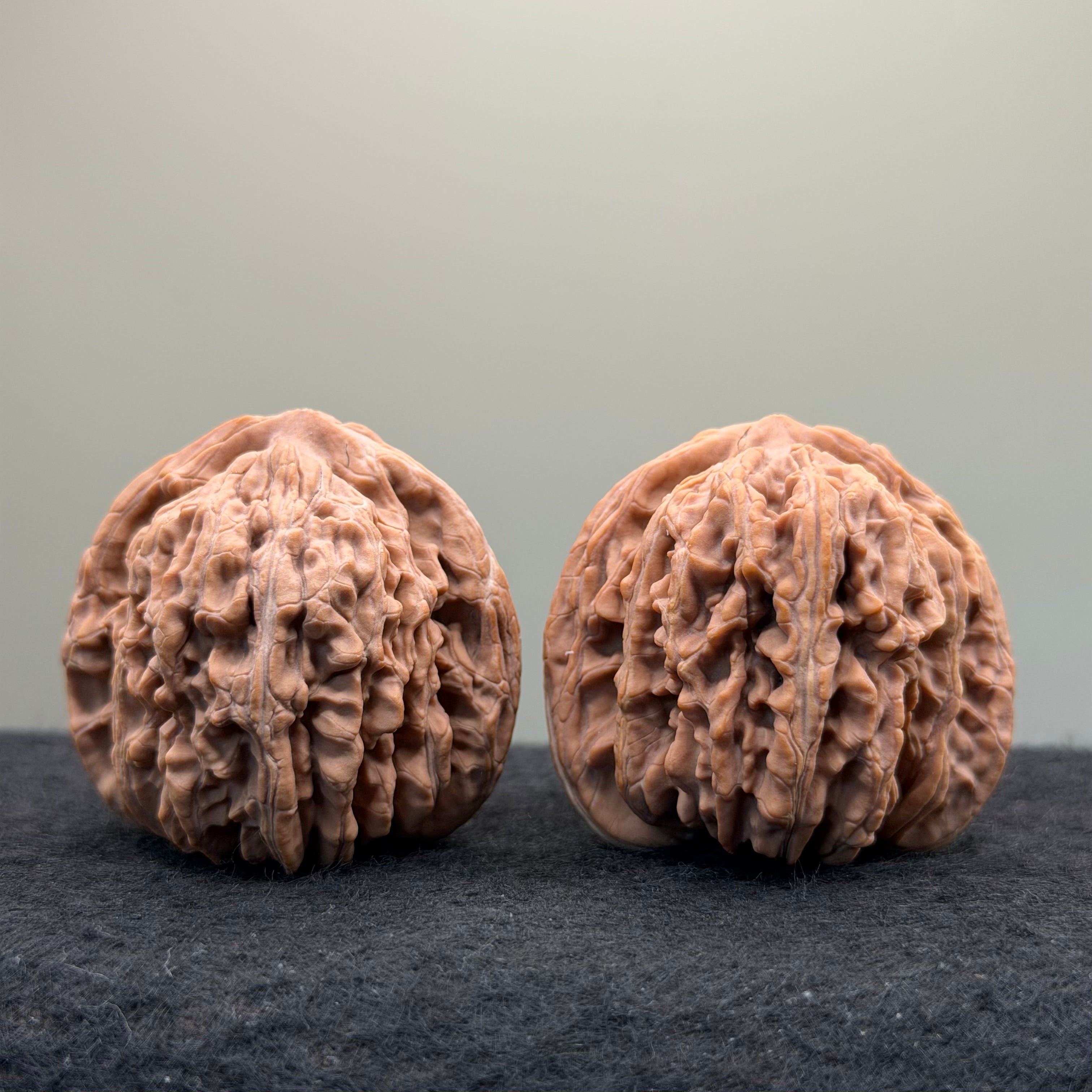 Four Towers Wenwan Walnut · 43mm · Natural · Select Ritual