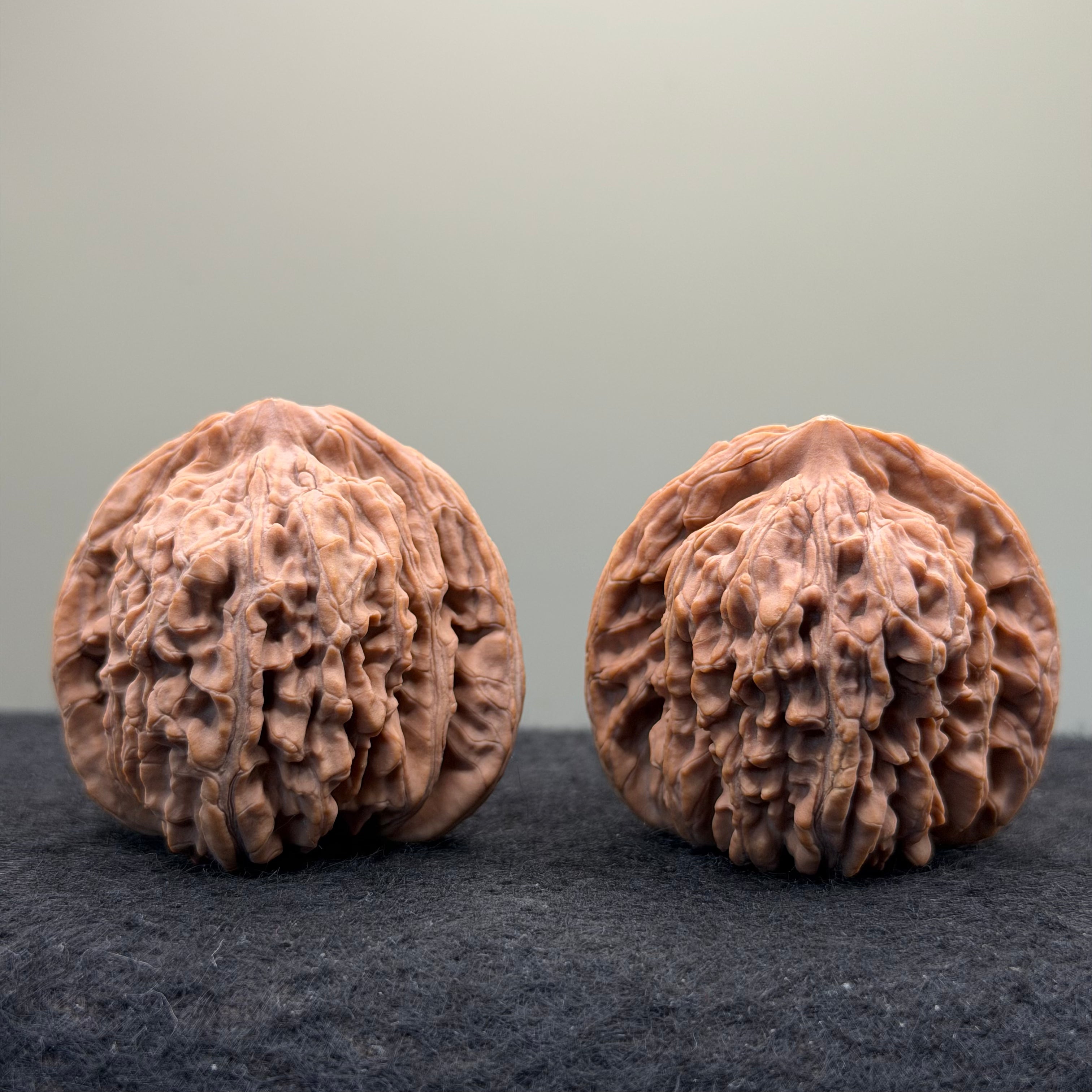 Four Towers Wenwan Walnut · 43mm · Natural · Select Ritual