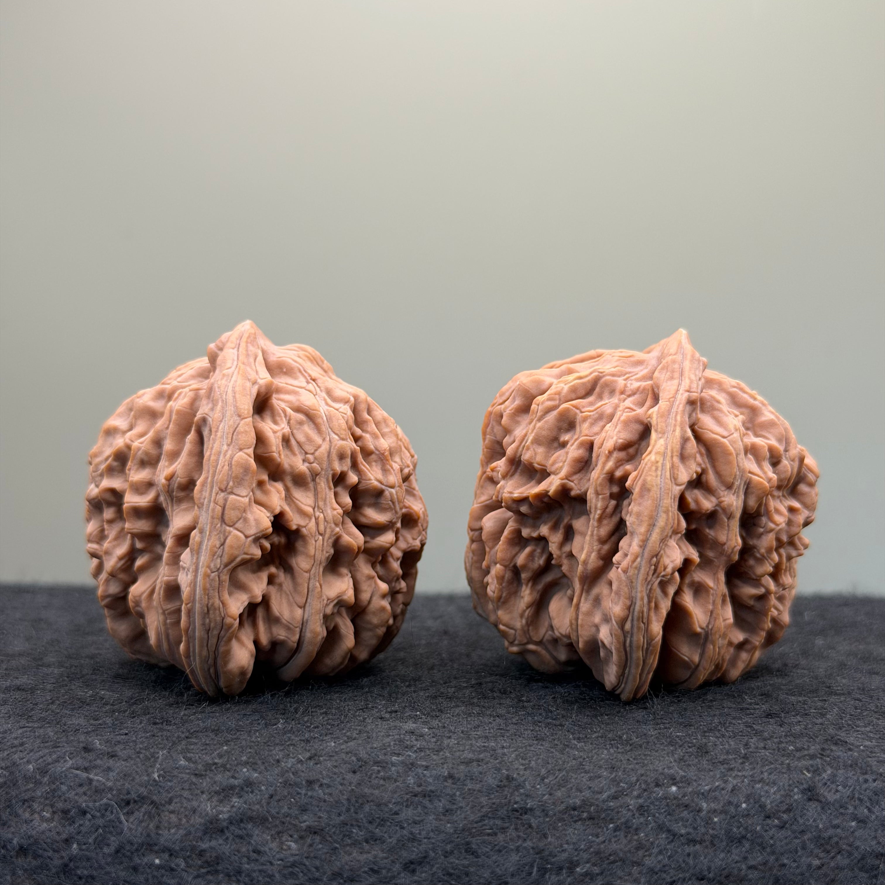 Four Towers Wenwan Walnut · 43mm · Natural · Select Ritual