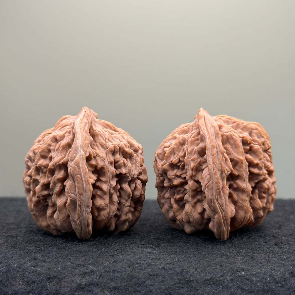 Four Towers Wenwan Walnut · 43mm · Natural · Select Ritual