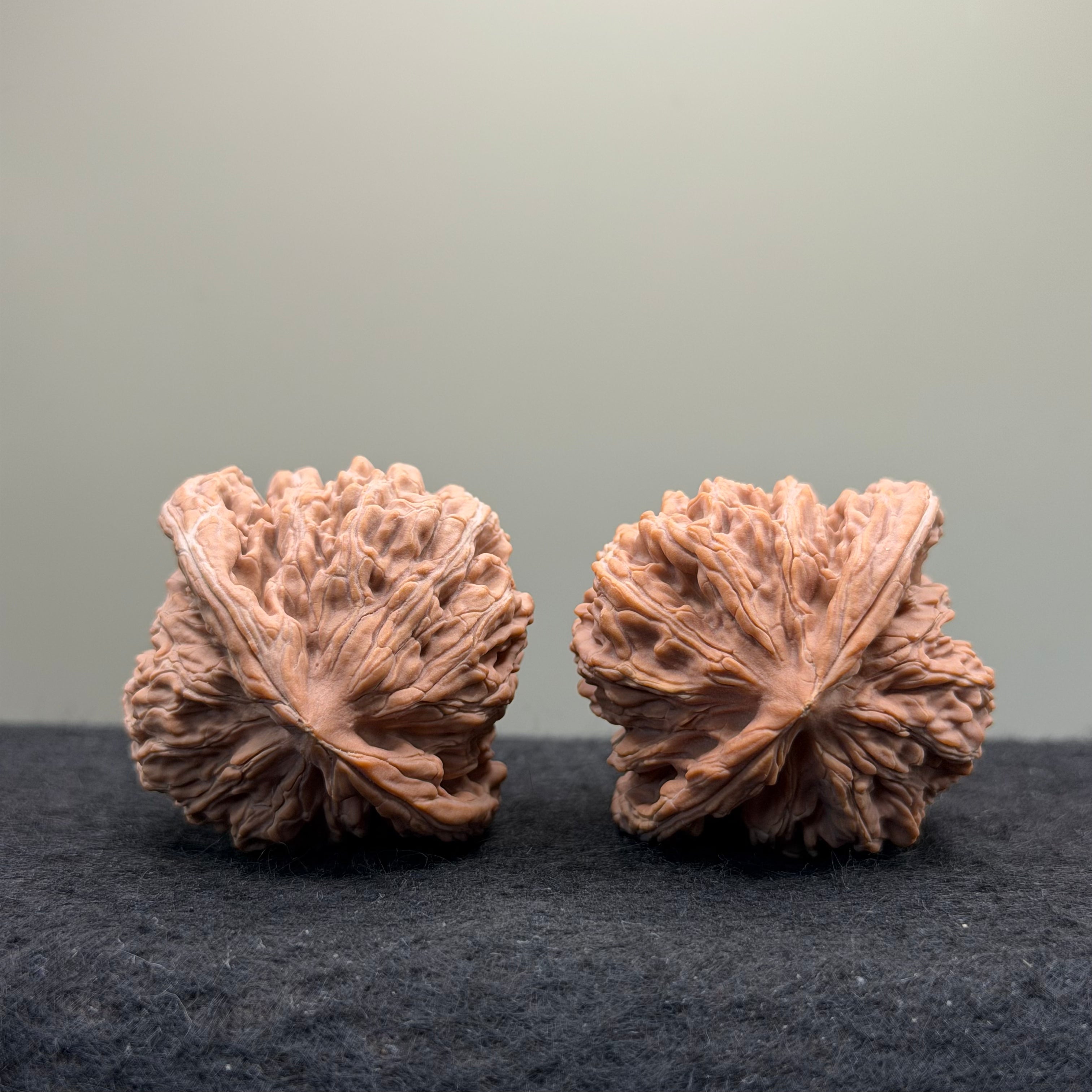 Four Towers Wenwan Walnut · 43mm · Natural · Select Ritual