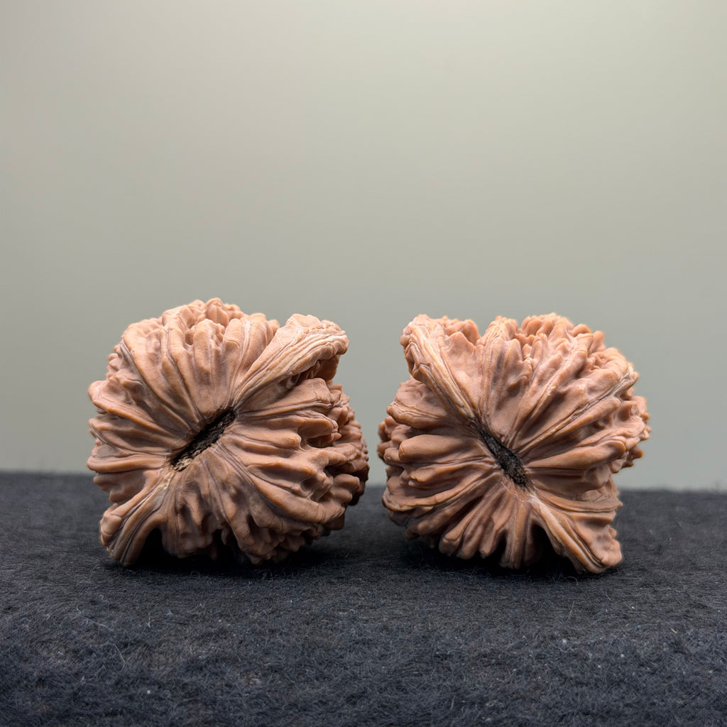 Four Towers Wenwan Walnut · 43mm · Natural · Select Ritual