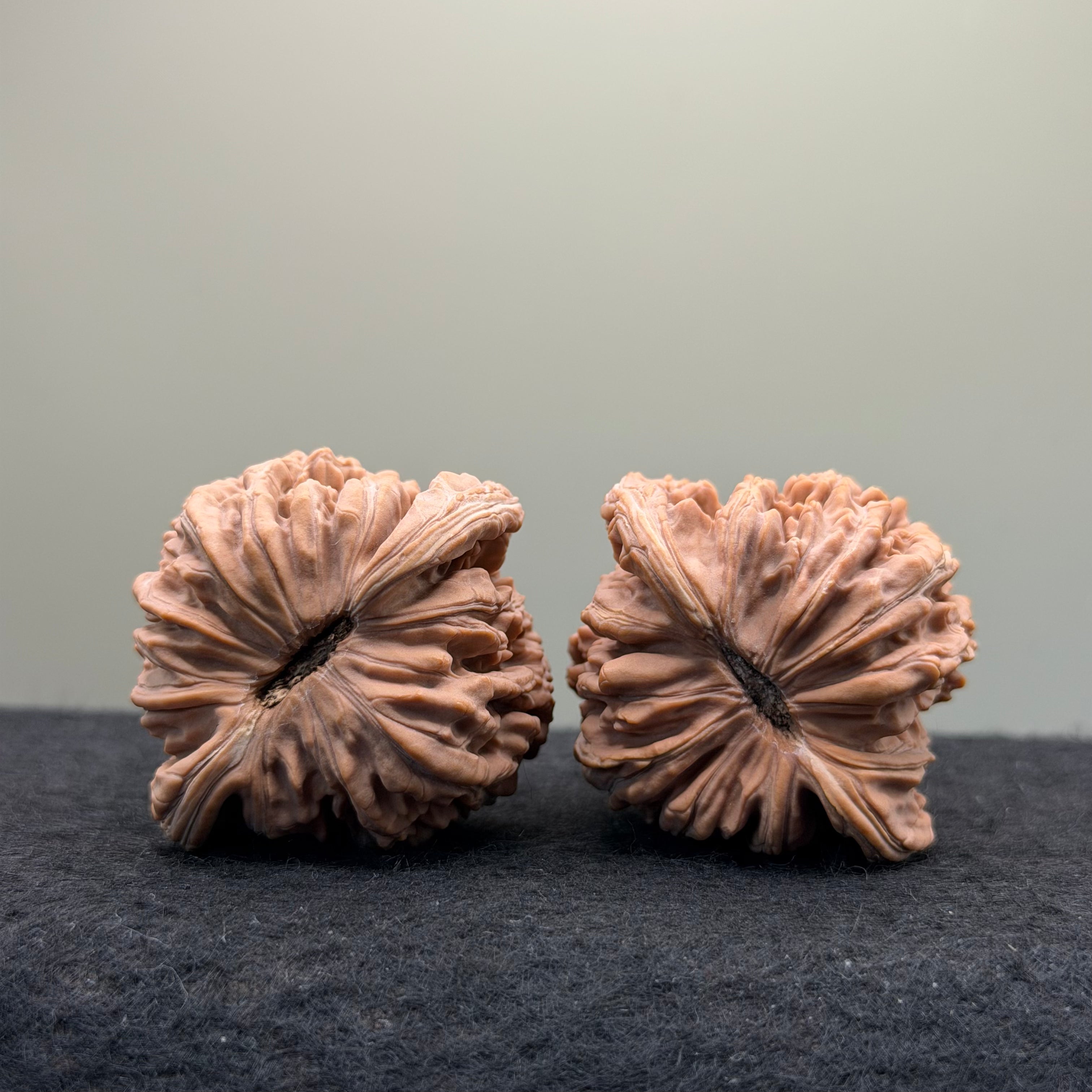 Four Towers Wenwan Walnut · 43mm · Natural · Select Ritual