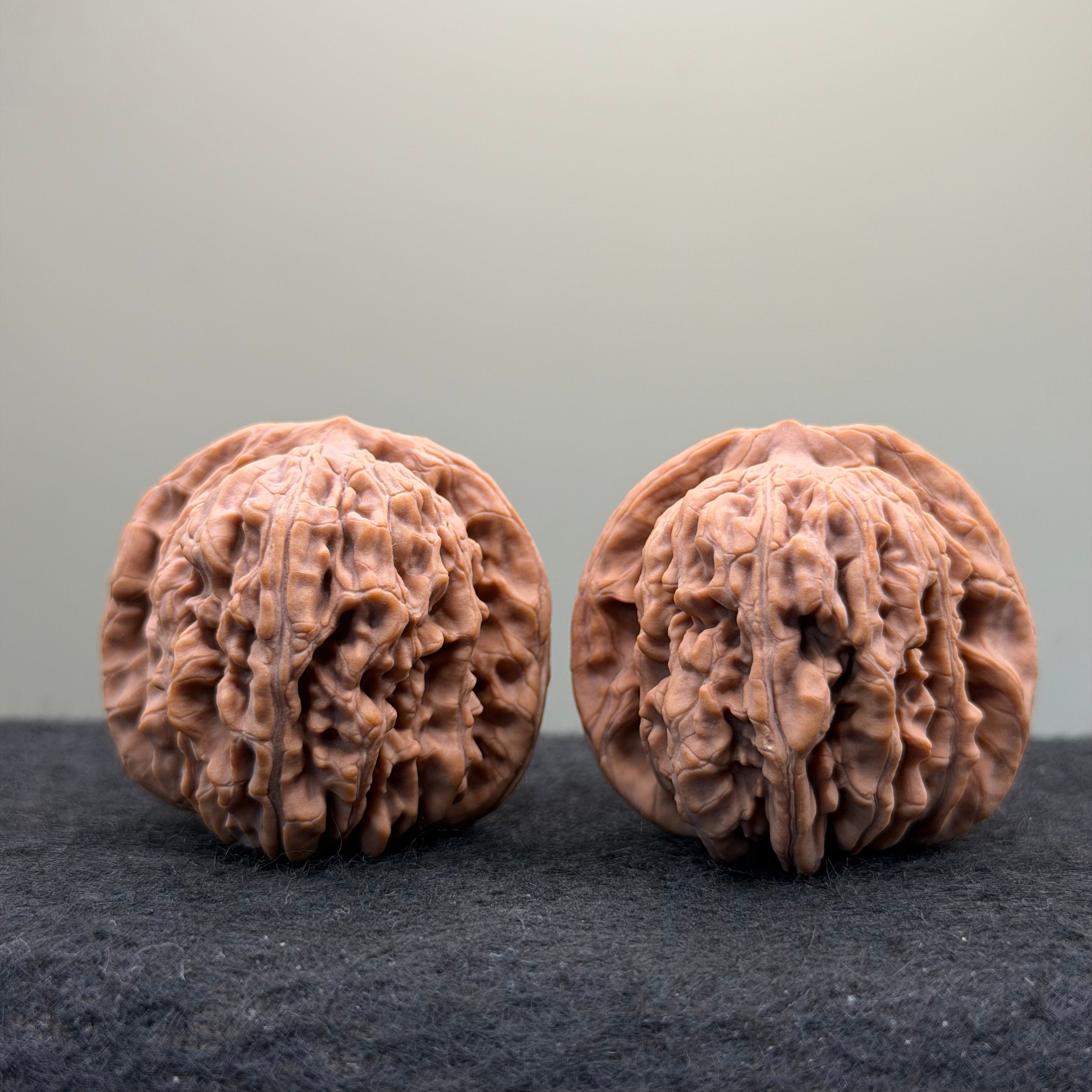 Four Towers Wenwan Walnut · 41mm · Natural · Select Ritual