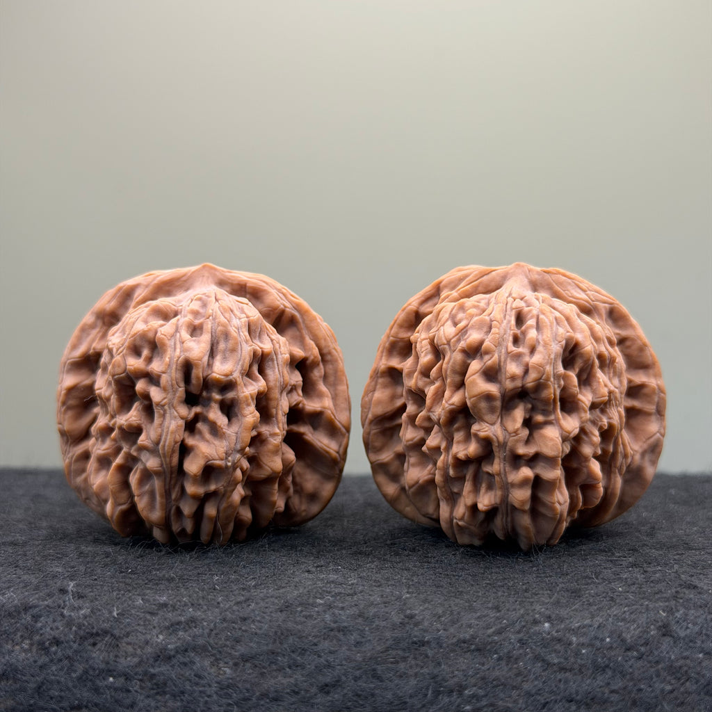 Four Towers Wenwan Walnut · 41mm · Natural · Select Ritual