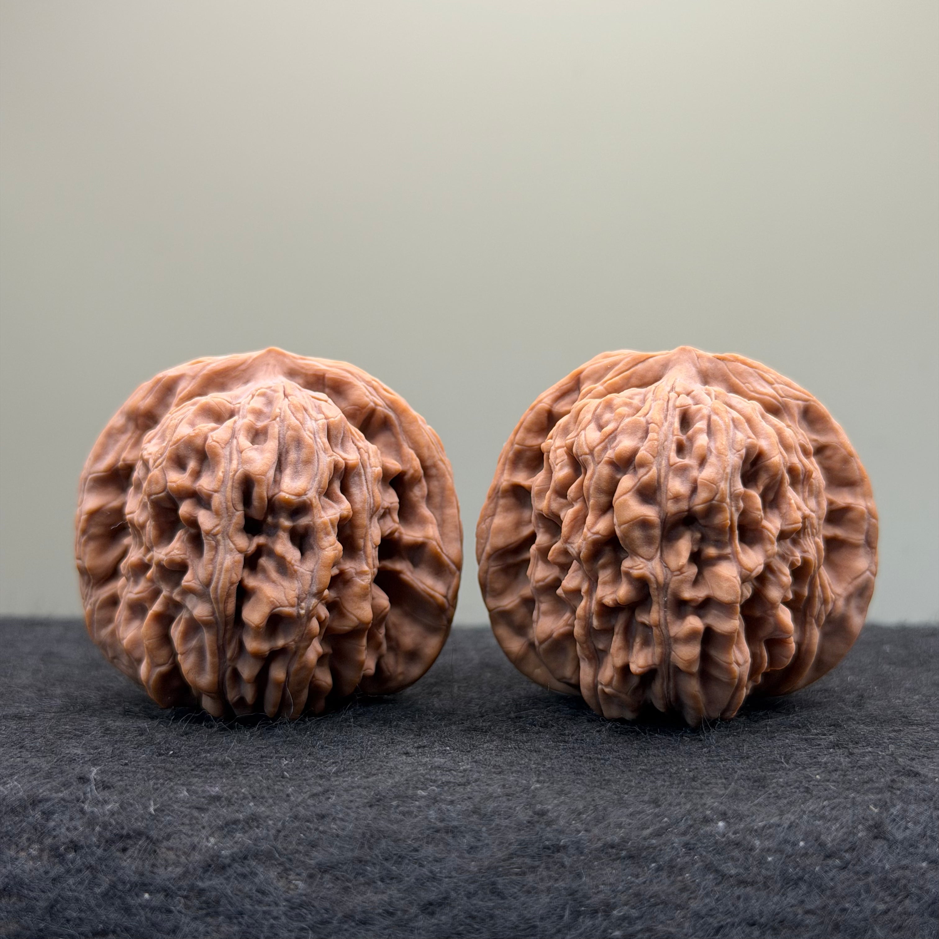 Four Towers Wenwan Walnut · 41mm · Natural · Select Ritual