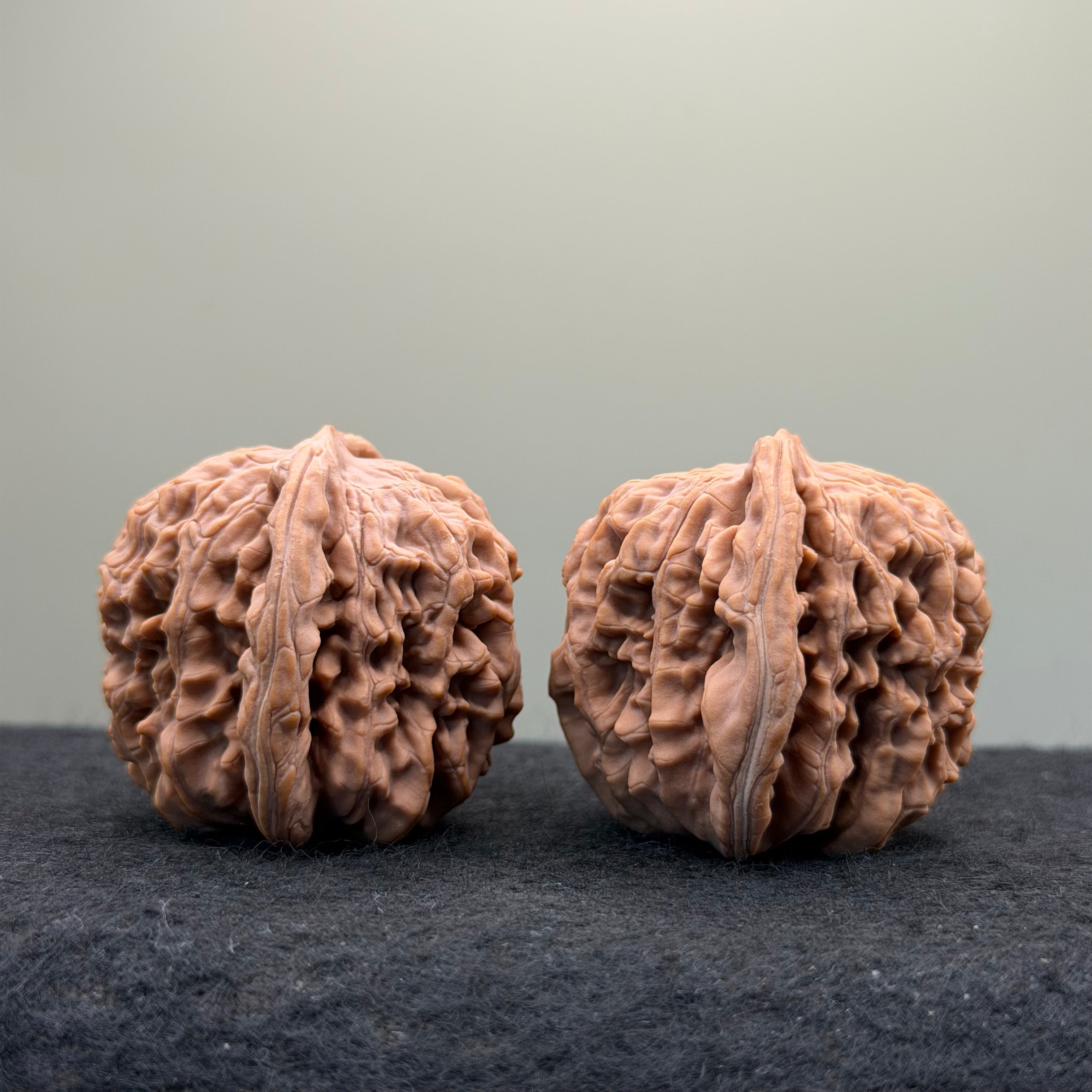 Four Towers Wenwan Walnut · 41mm · Natural · Select Ritual