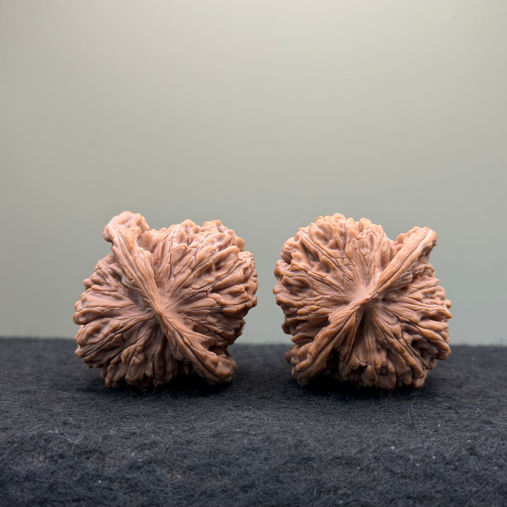 Four Towers Wenwan Walnut · 41mm · Natural · Select Ritual
