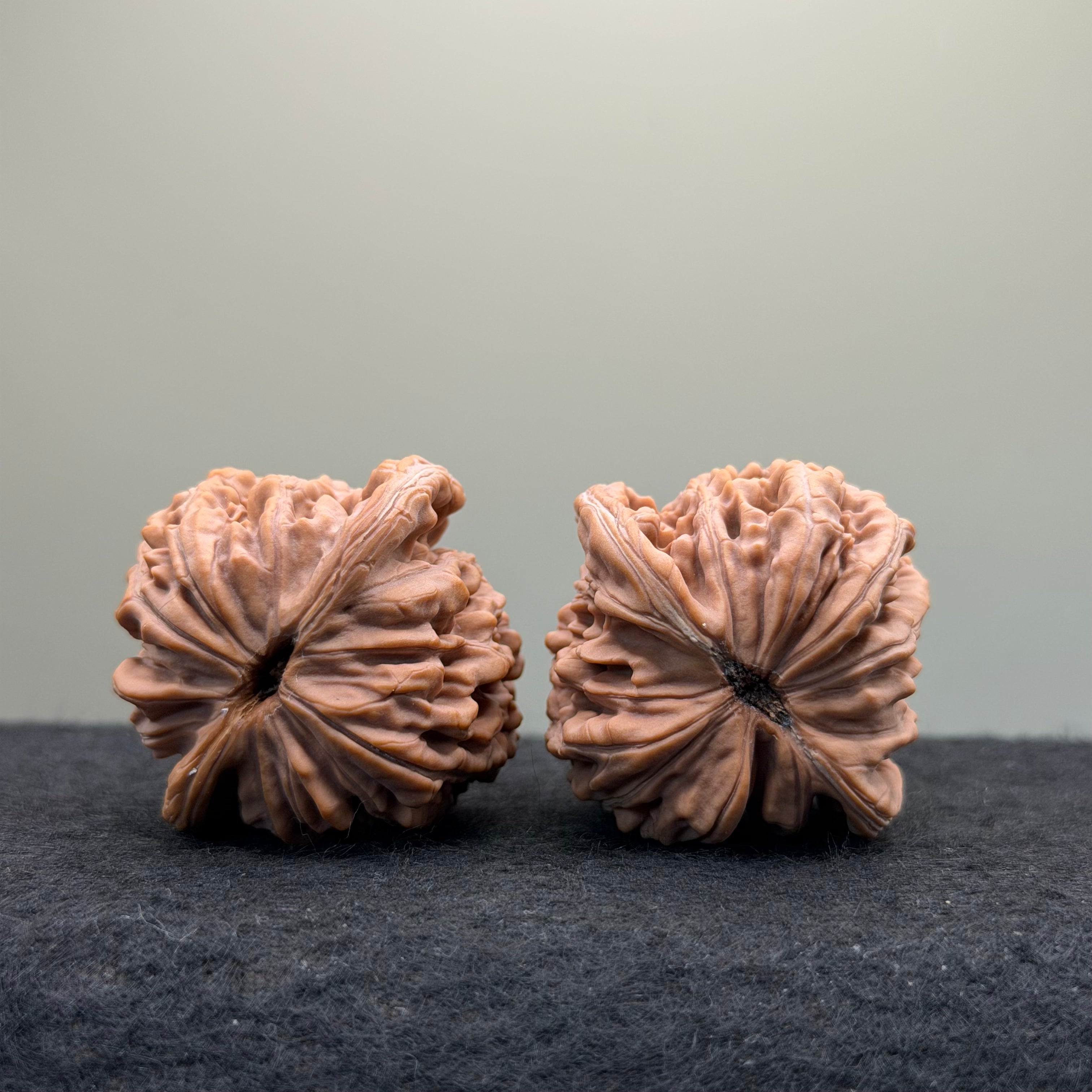 Four Towers Wenwan Walnut · 41mm · Natural · Select Ritual