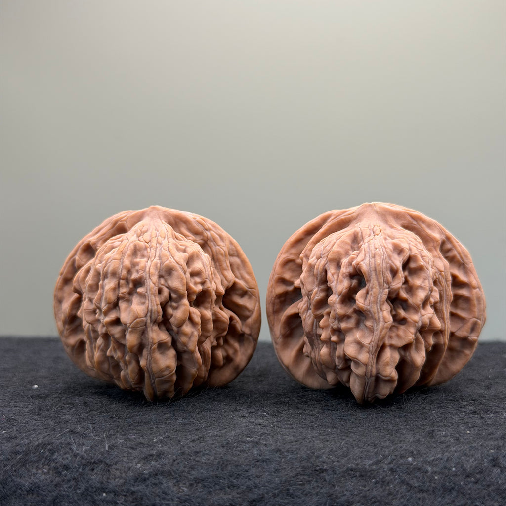 Four Towers Wenwan Walnut