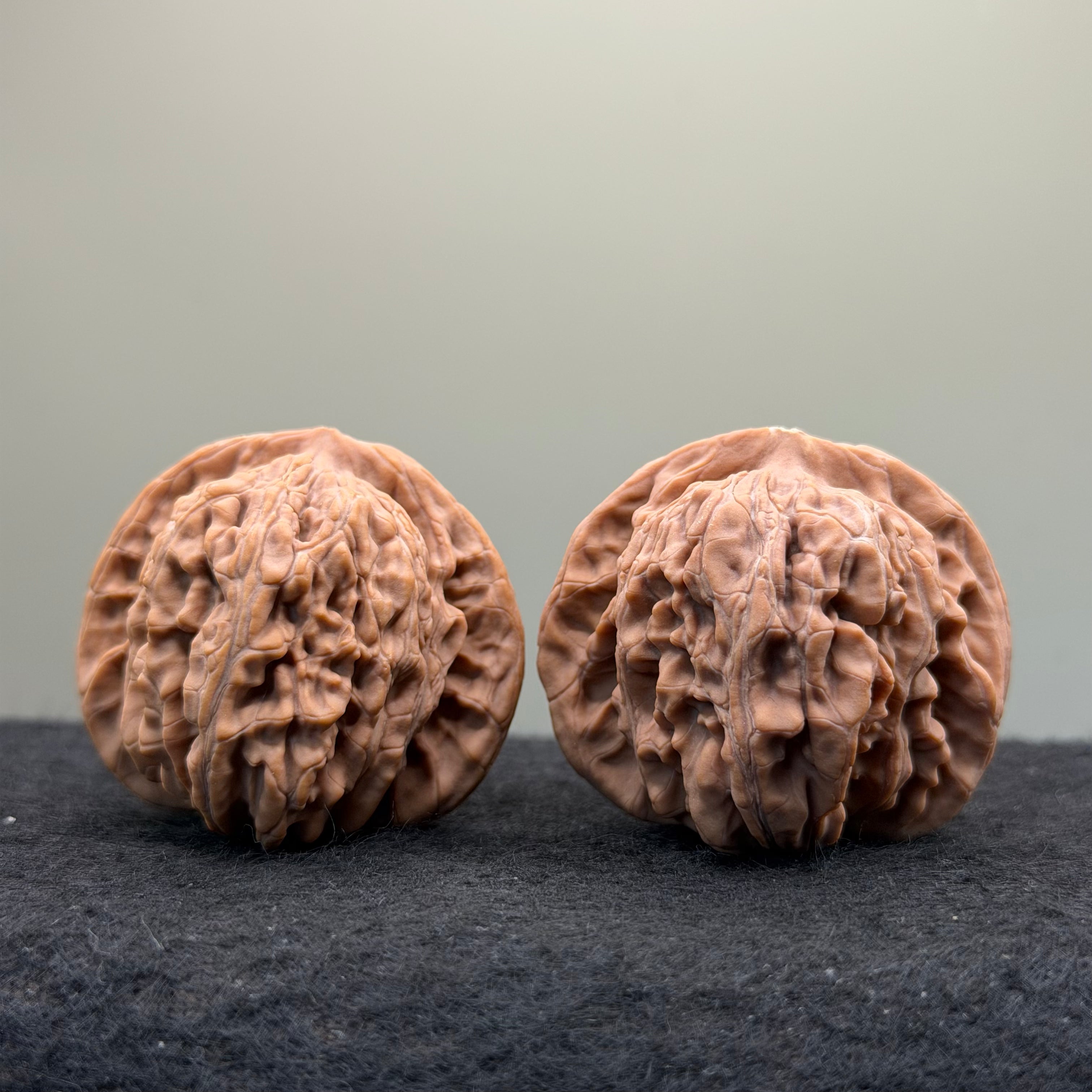 Four Towers Wenwan Walnut
