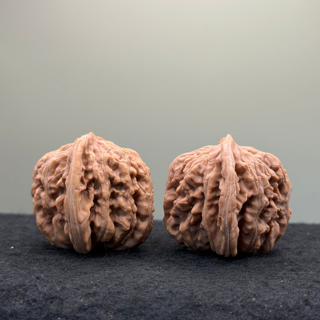Four Towers Wenwan Walnut