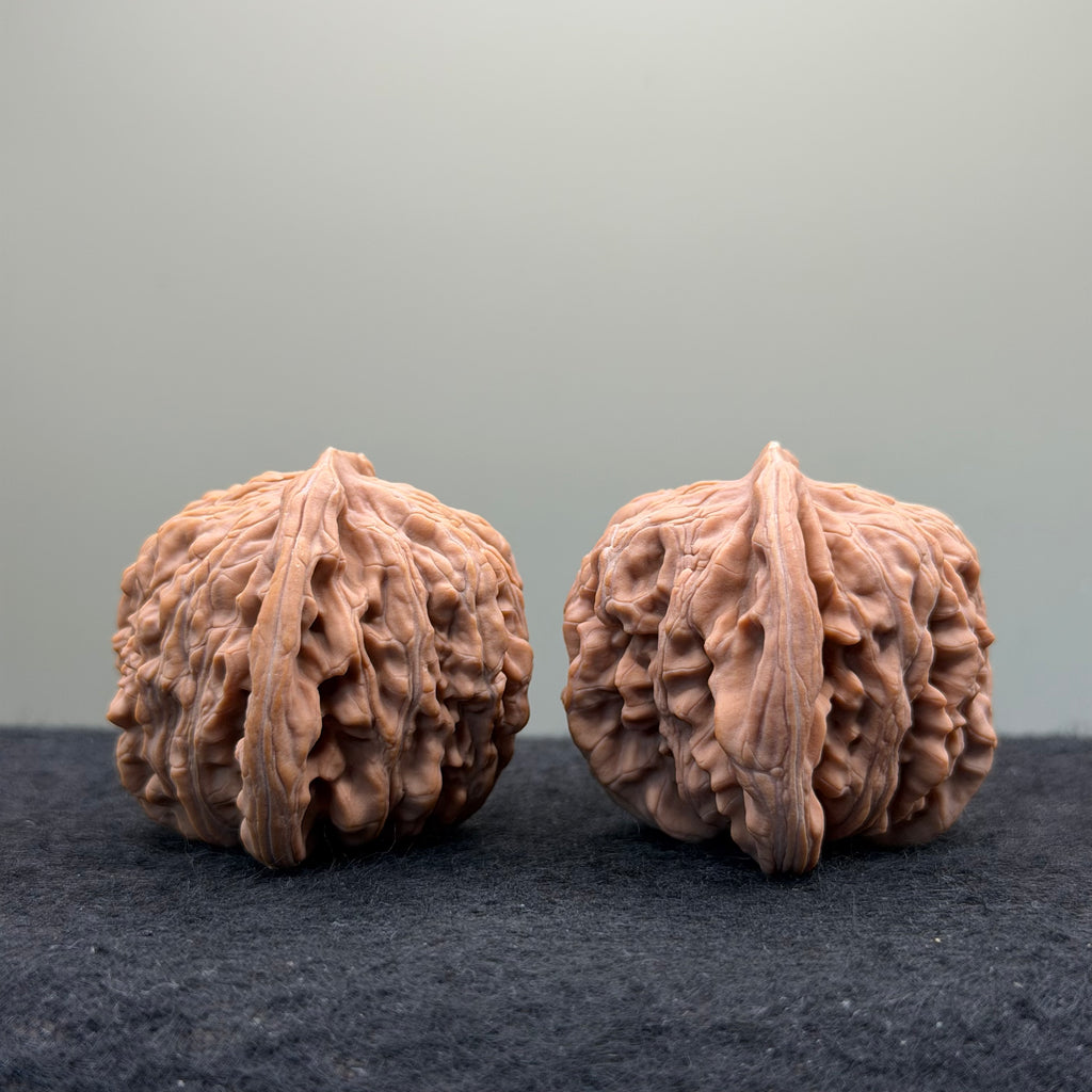 Four Towers Wenwan Walnut
