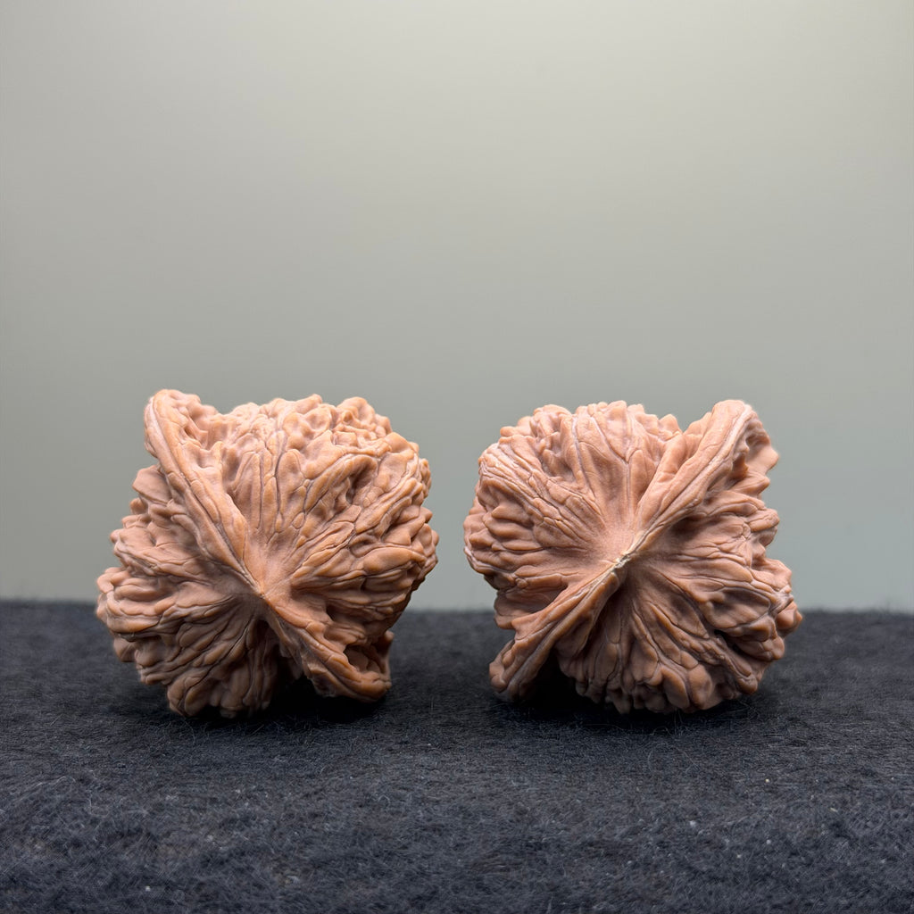 Four Towers Wenwan Walnut