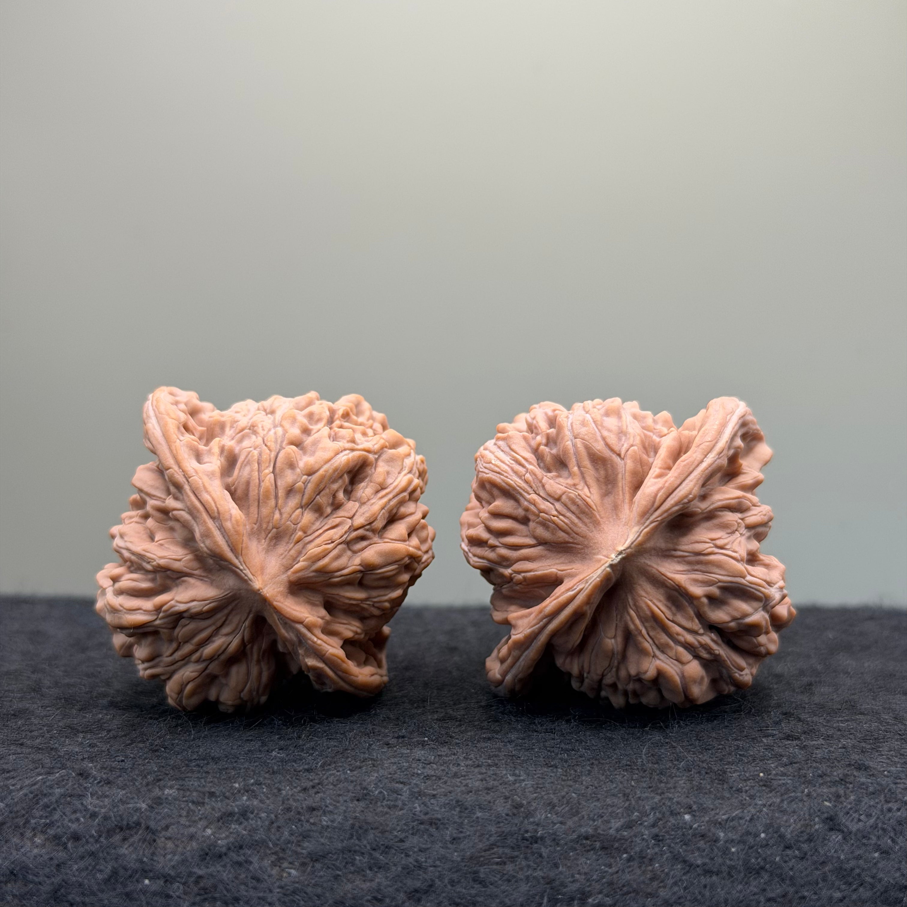 Four Towers Wenwan Walnut