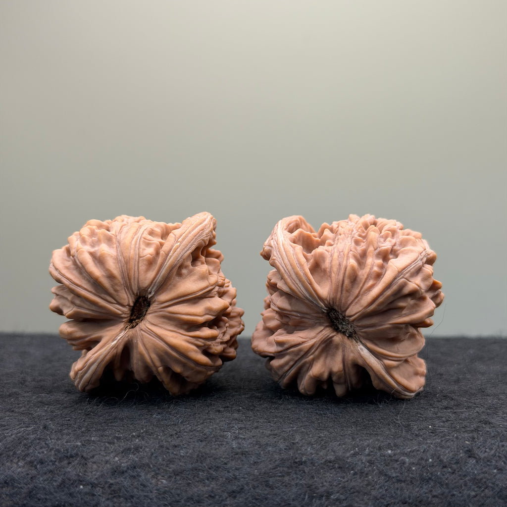 Four Towers Wenwan Walnut
