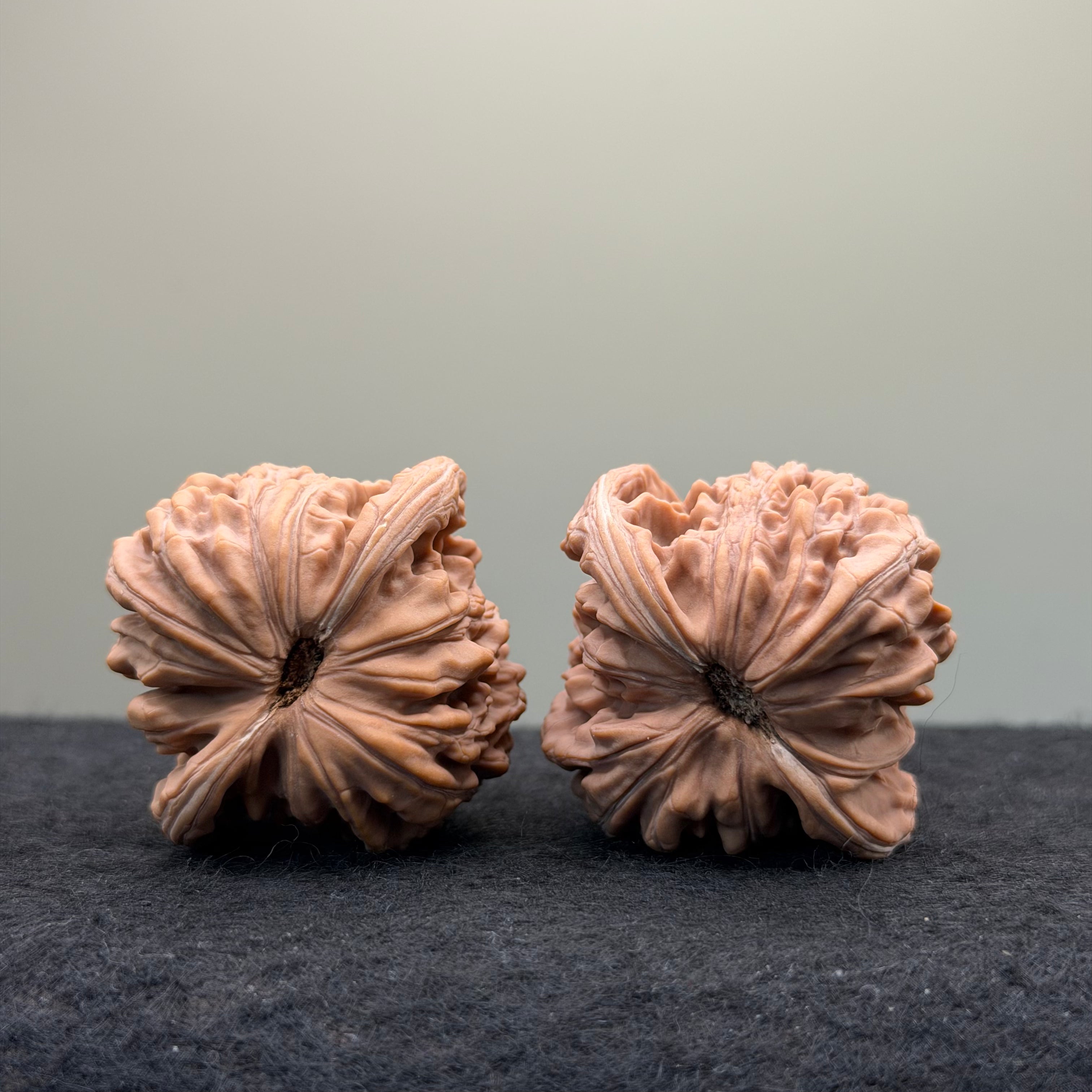 Four Towers Wenwan Walnut