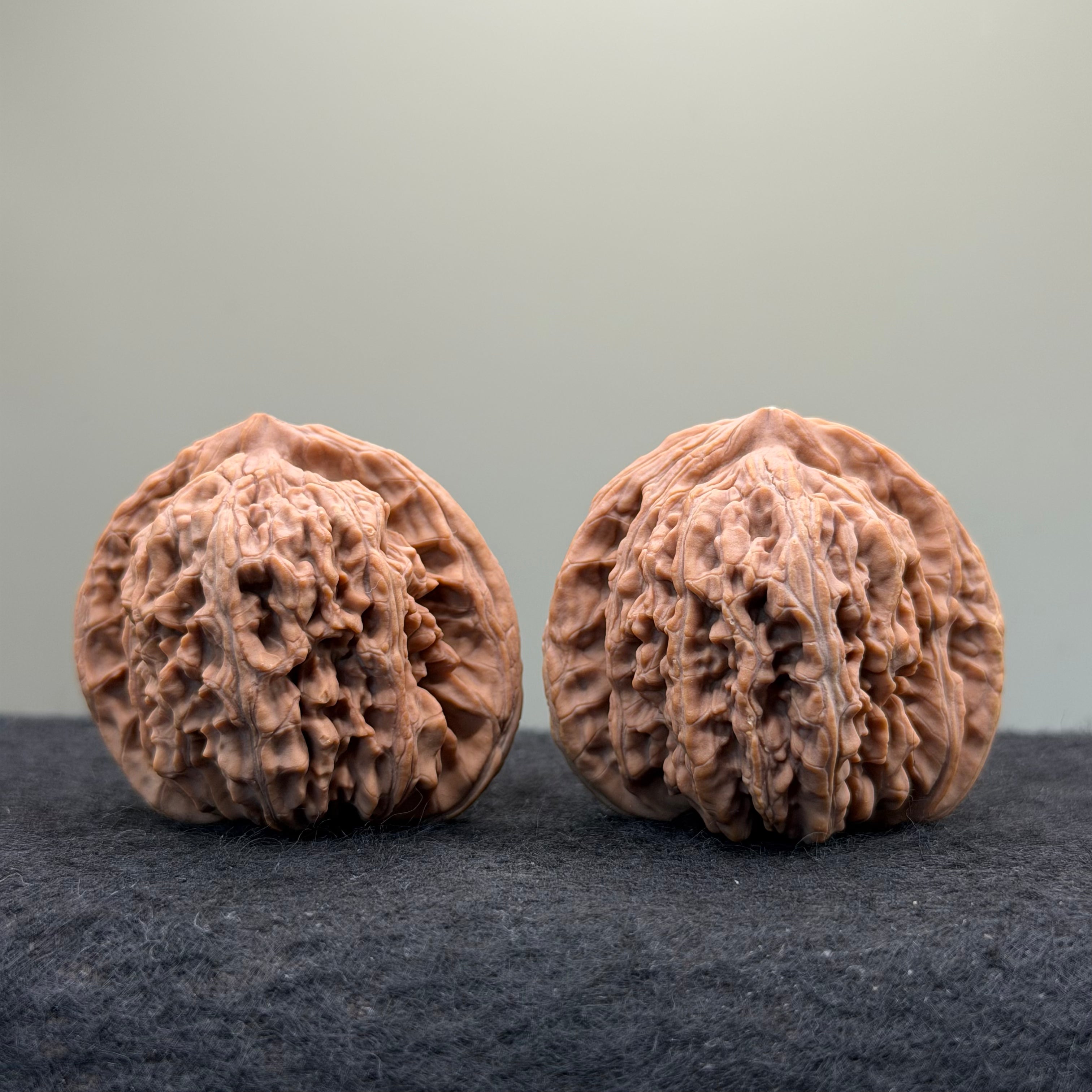 Four Towers Wenwan Walnut · 44mm · Natural · Entry Ritual