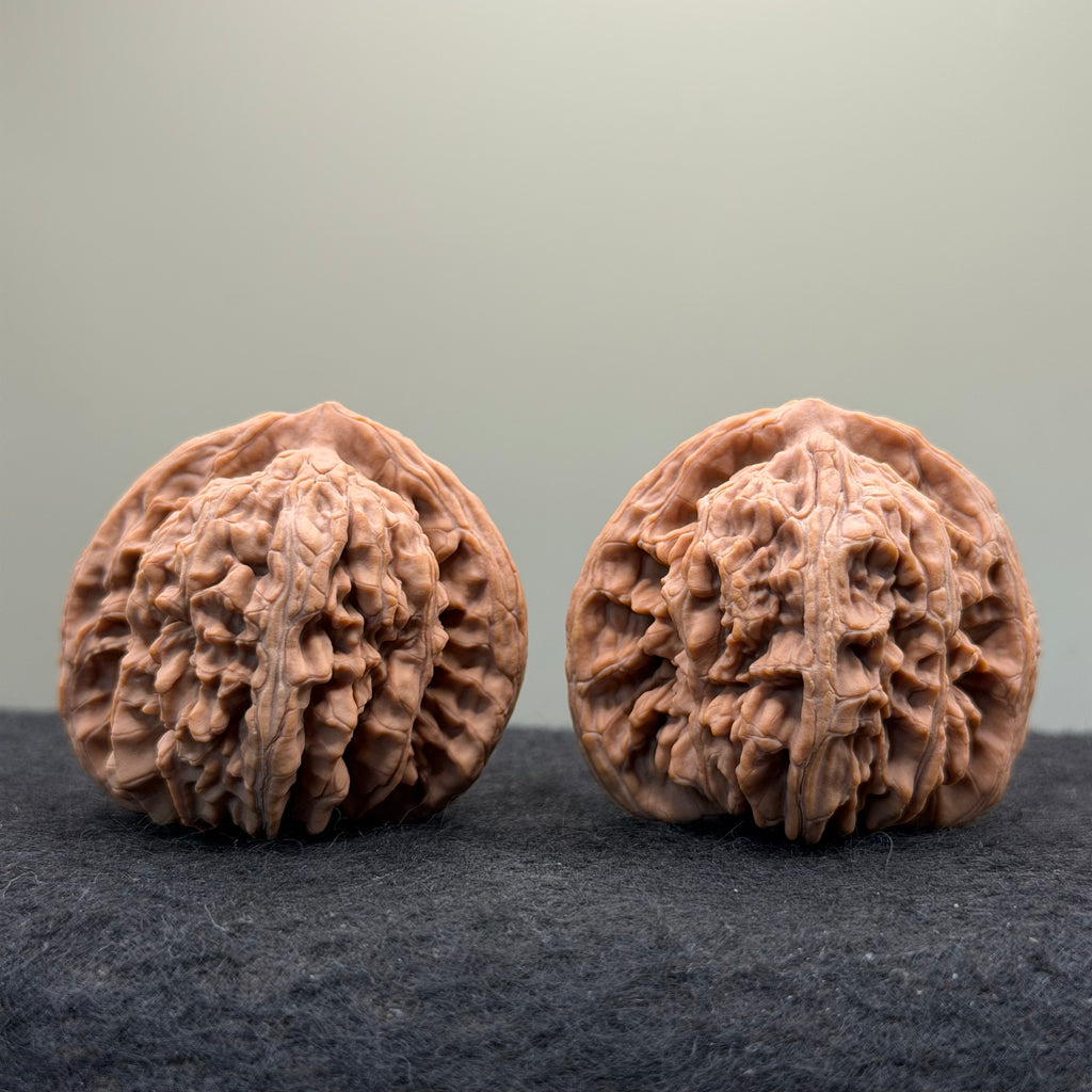 Four Towers Wenwan Walnut · 44mm · Natural · Entry Ritual