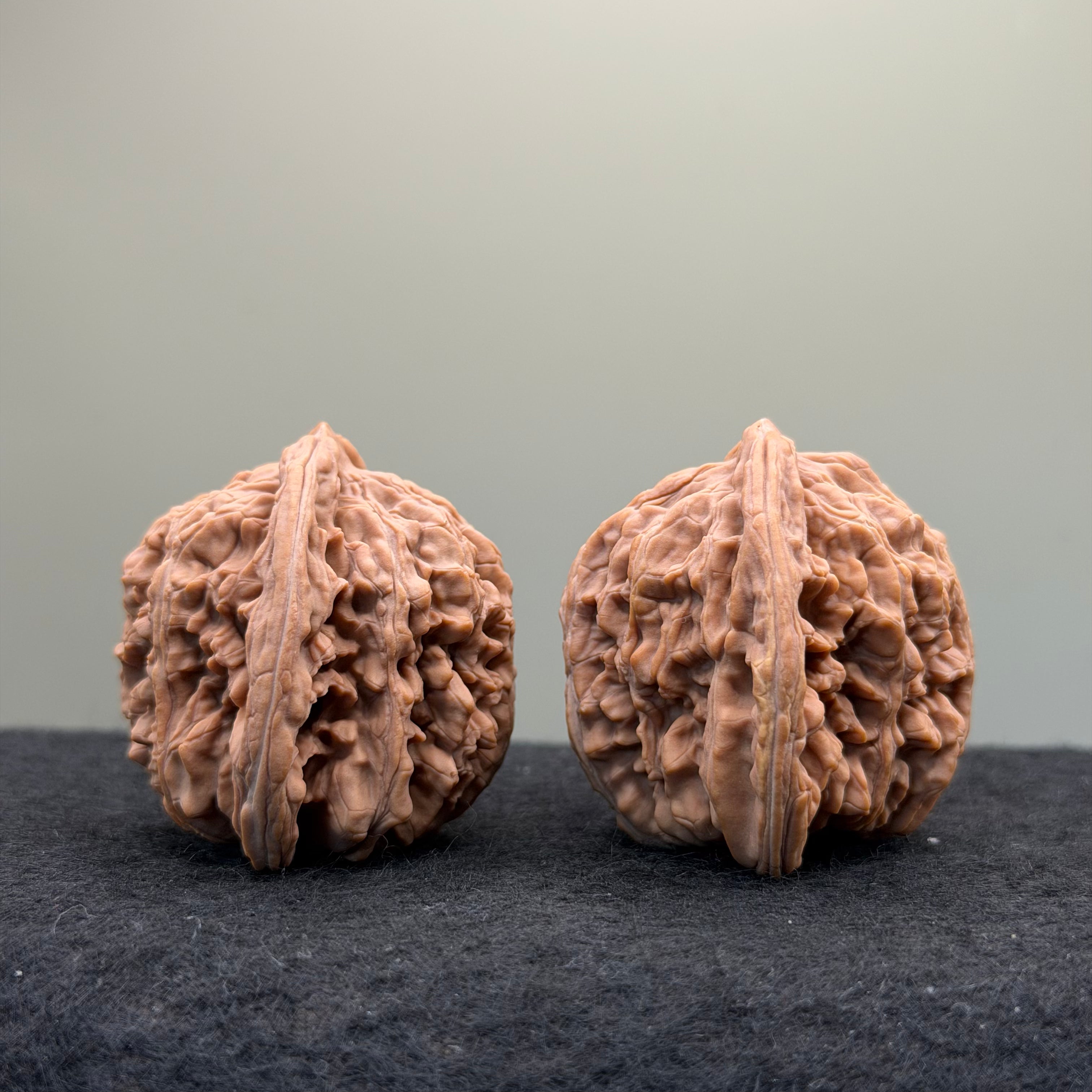 Four Towers Wenwan Walnut · 44mm · Natural · Entry Ritual