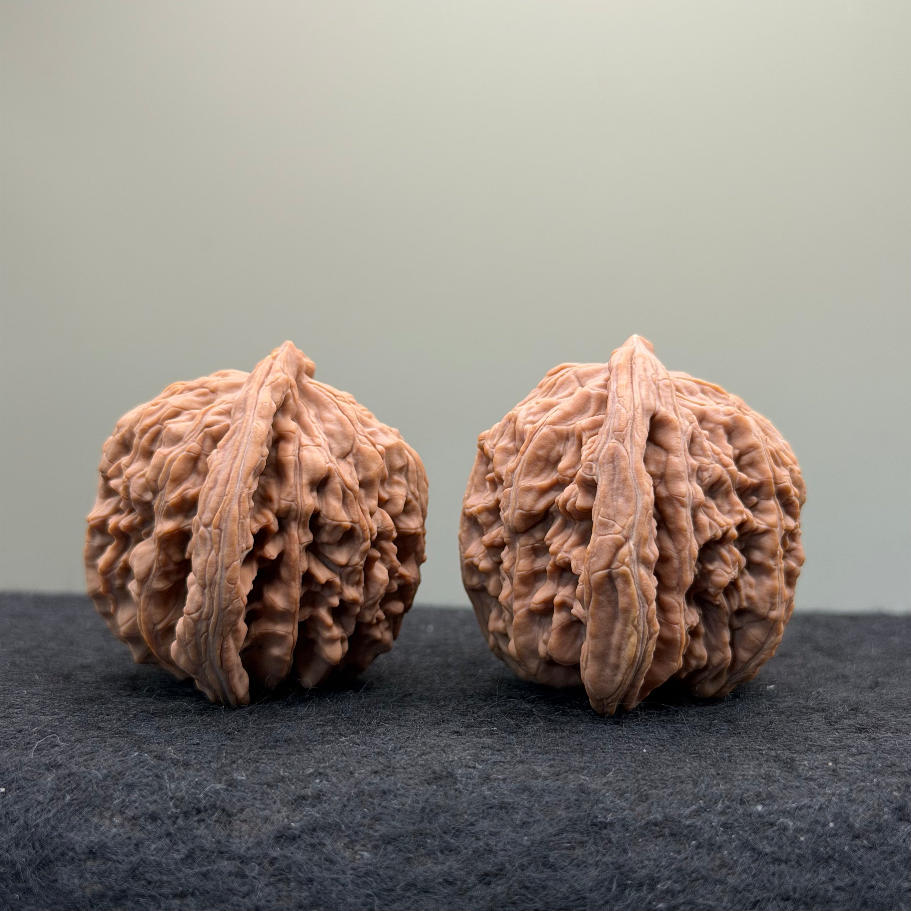 Four Towers Wenwan Walnut · 44mm · Natural · Entry Ritual