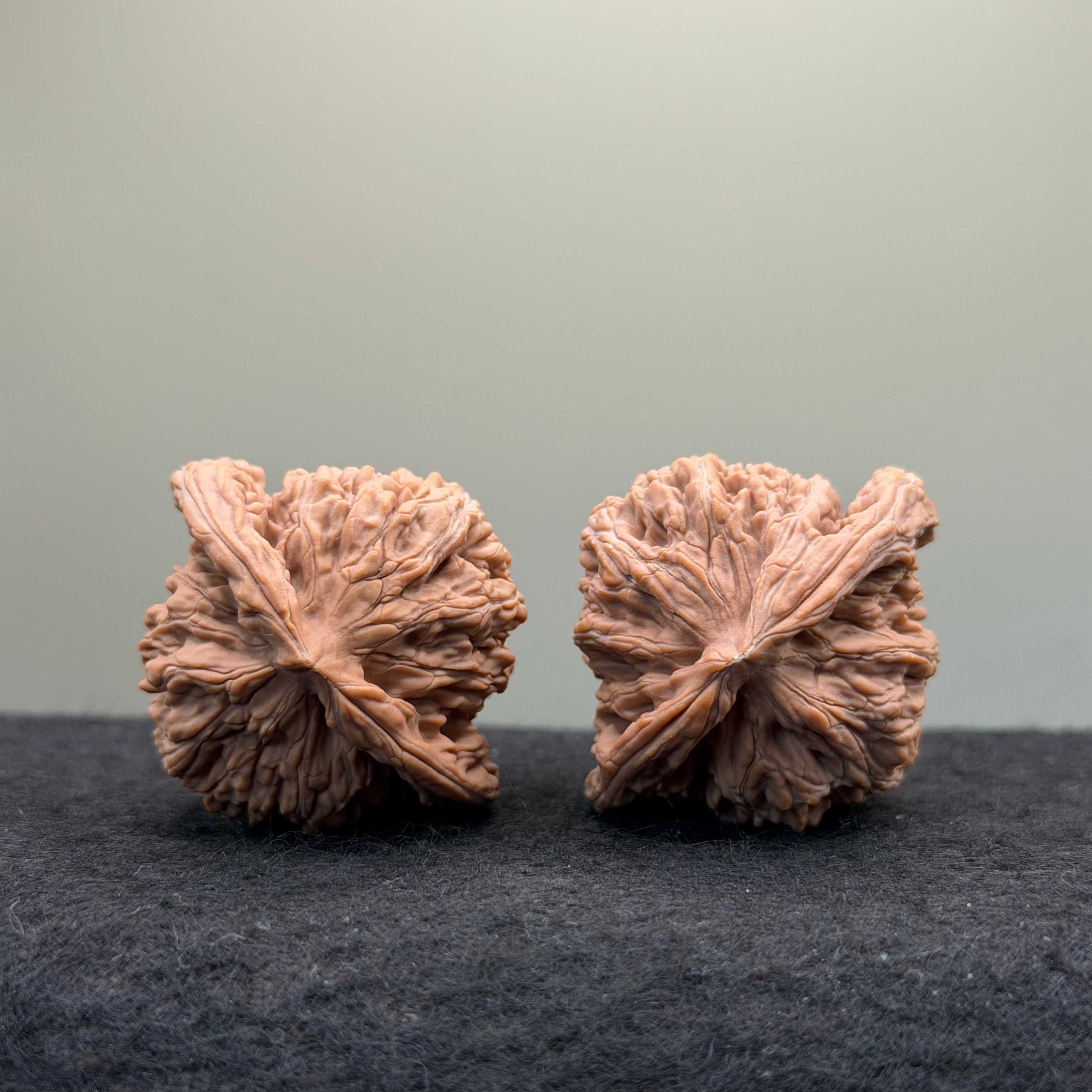 Four Towers Wenwan Walnut · 44mm · Natural · Entry Ritual