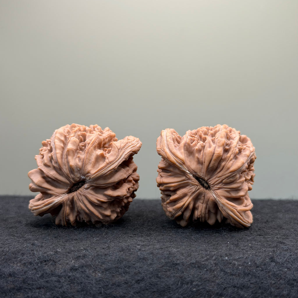 Four Towers Wenwan Walnut · 44mm · Natural · Entry Ritual