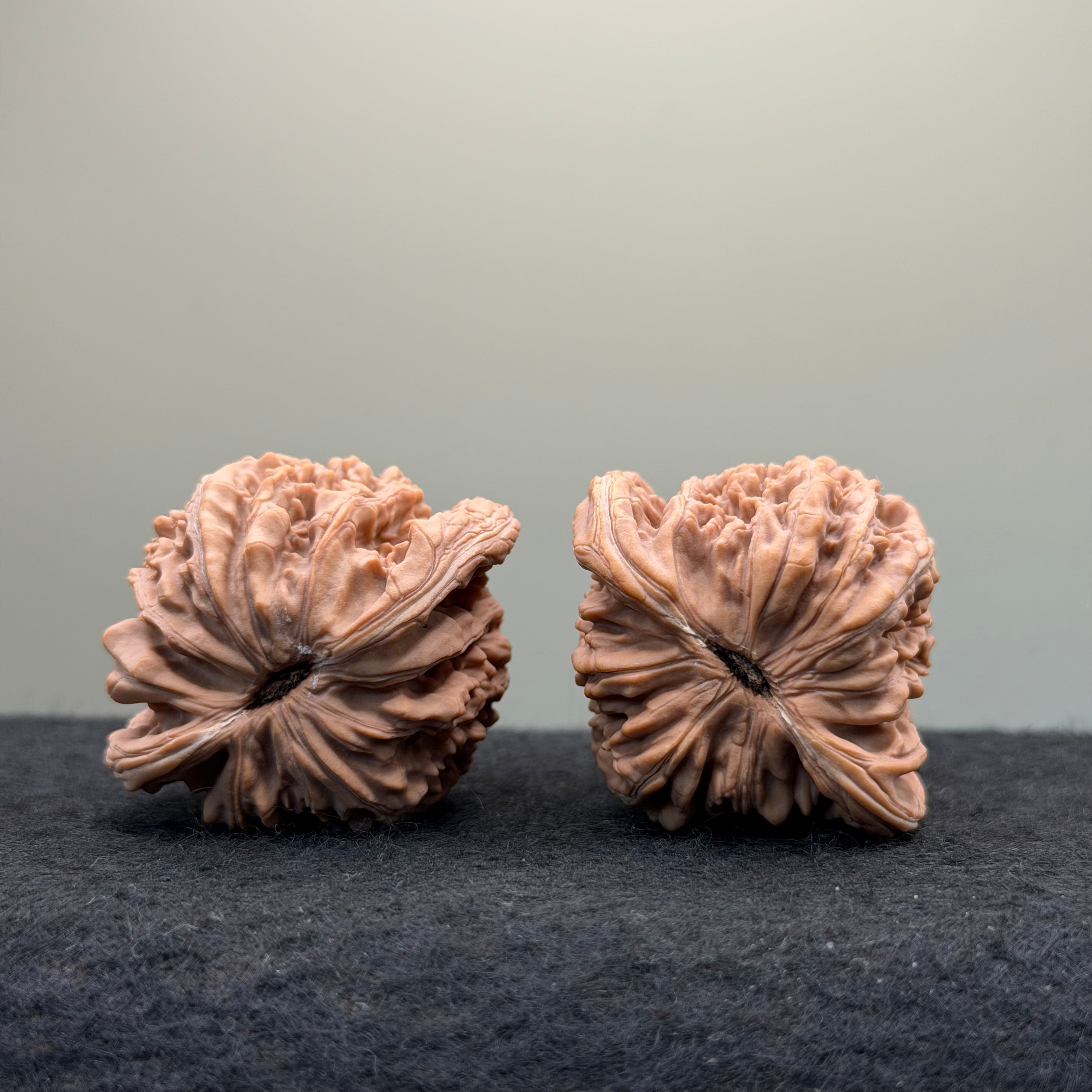Four Towers Wenwan Walnut · 44mm · Natural · Entry Ritual