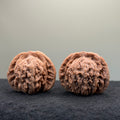 Four Towers Wenwan Walnut · 41mm · Natural · Entry Ritual