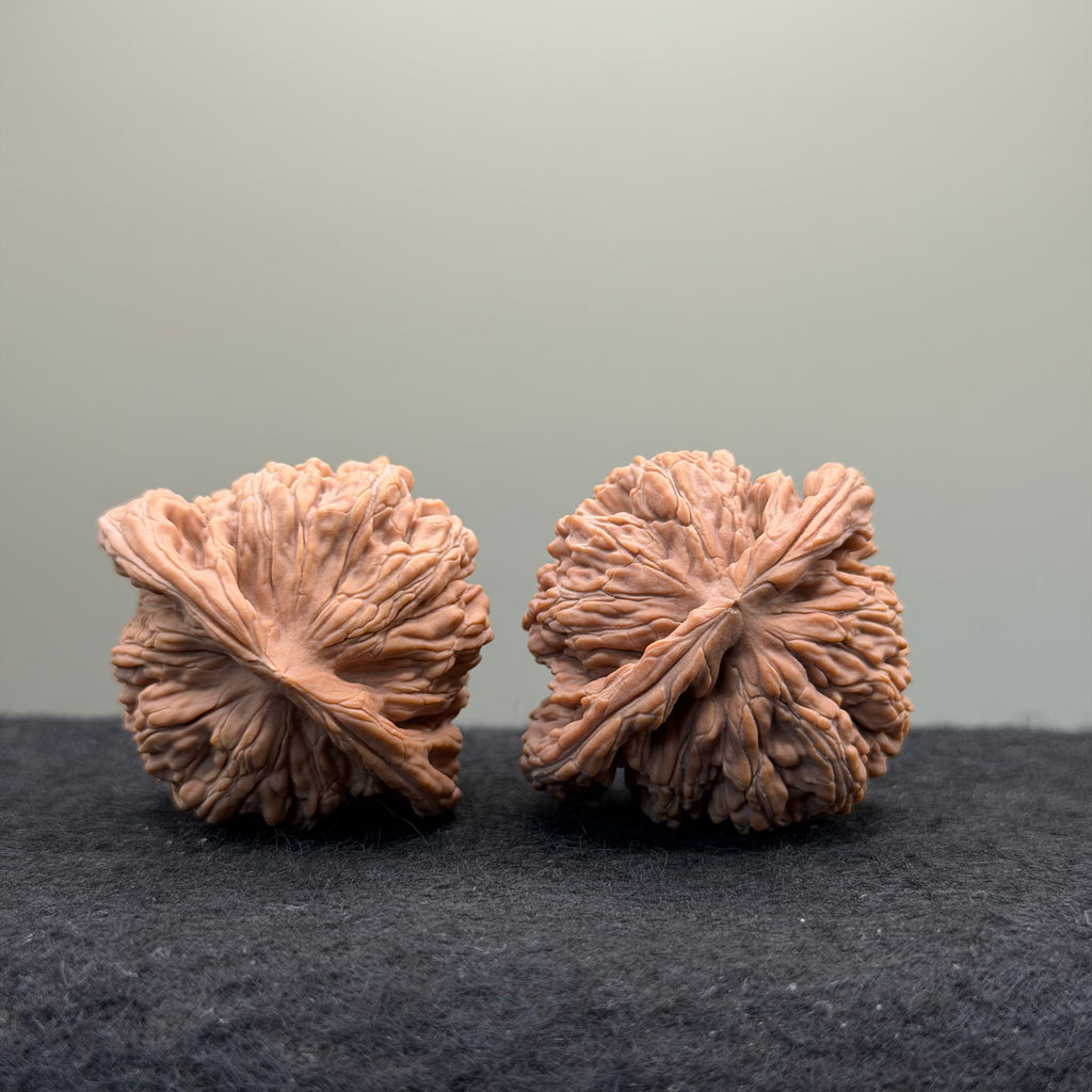 Four Towers Wenwan Walnut · 41mm · Natural · Entry Ritual