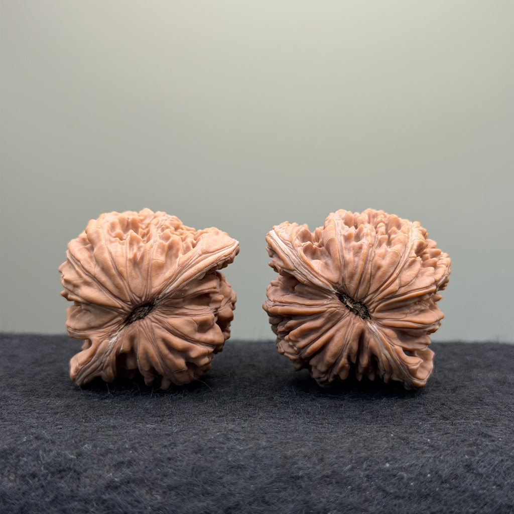 Four Towers Wenwan Walnut · 41mm · Natural · Entry Ritual