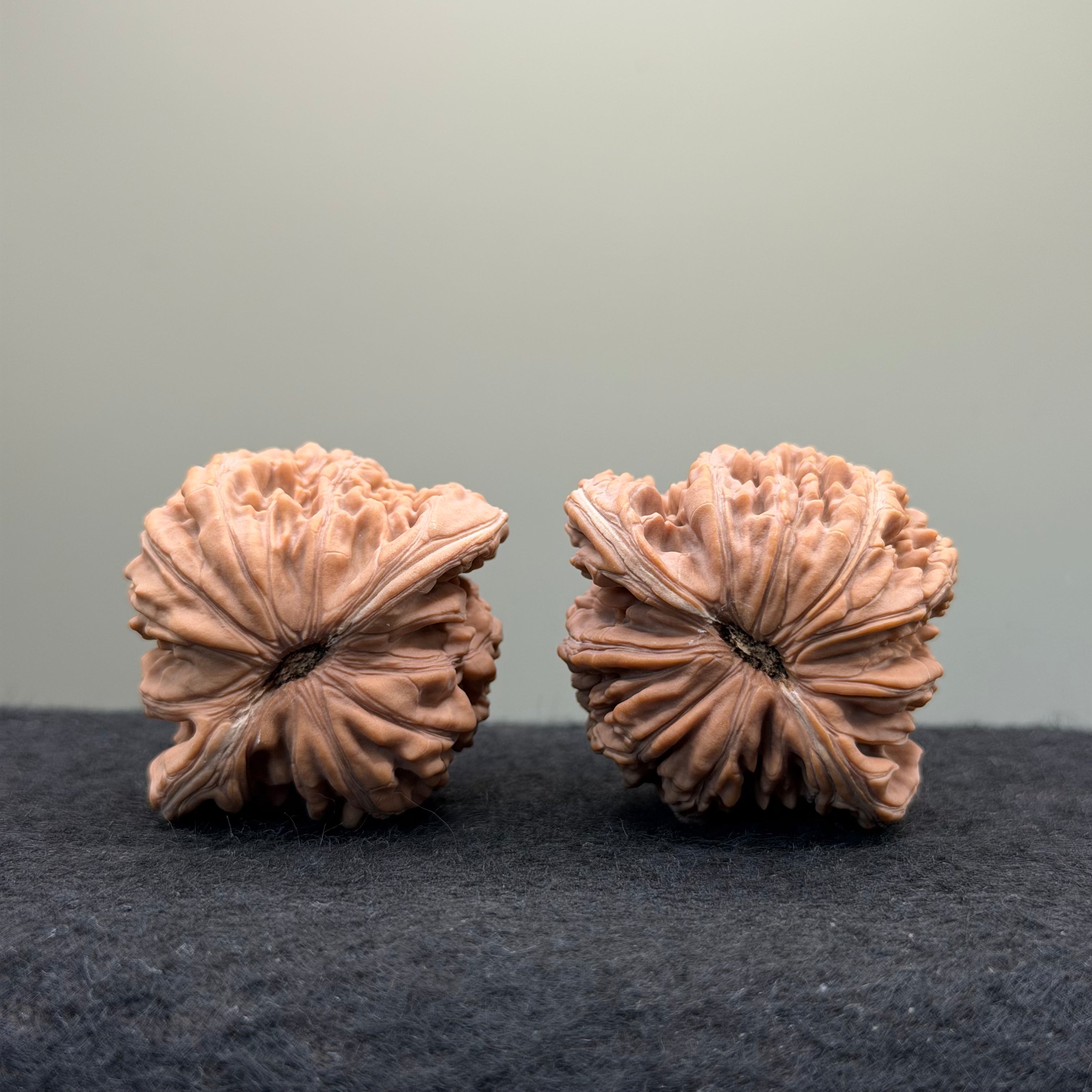 Four Towers Wenwan Walnut · 41mm · Natural · Entry Ritual