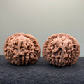 Four Towers Wenwan Walnut · 44mm · Natural · Entry Ritual