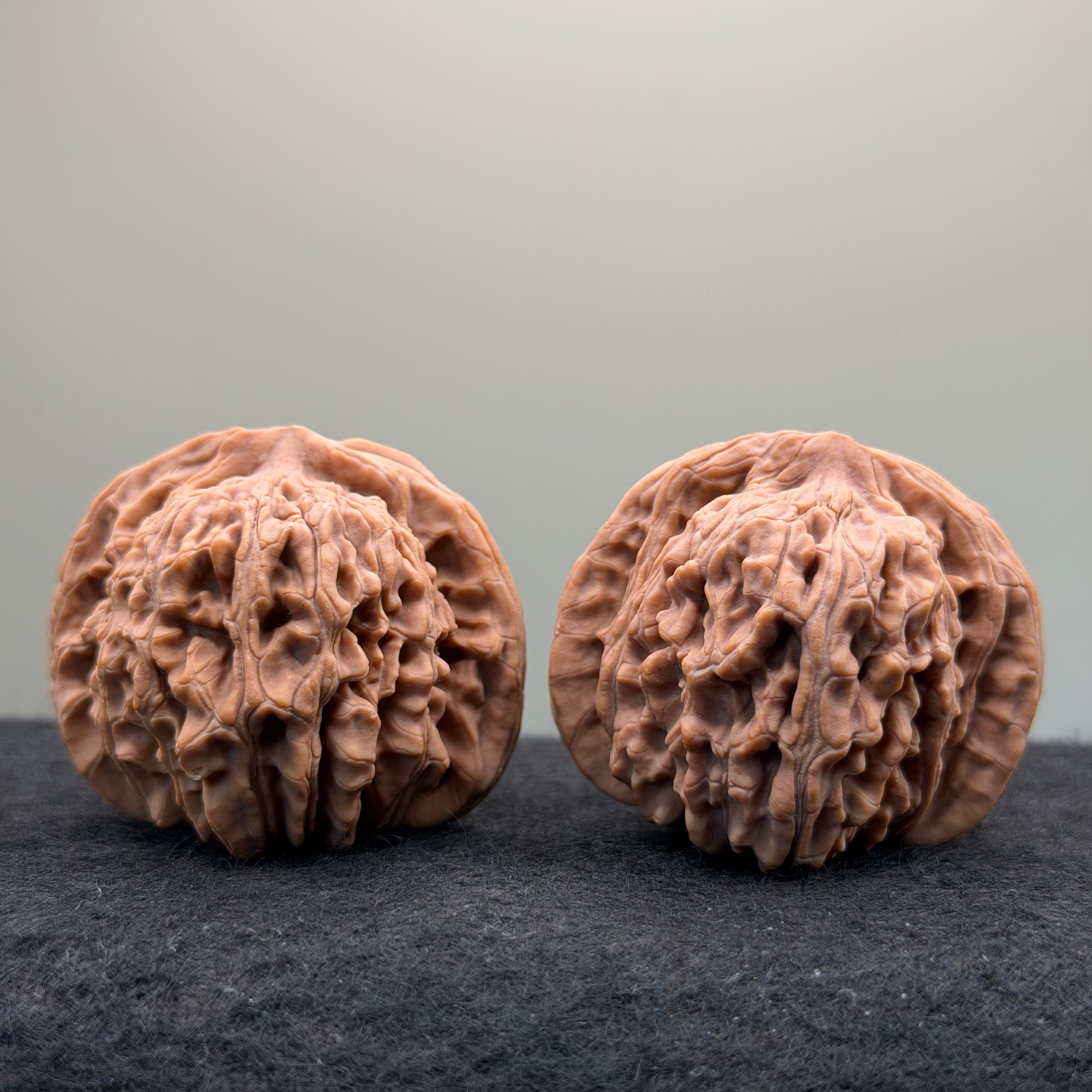 Four Towers Wenwan Walnut · 44mm · Natural · Entry Ritual