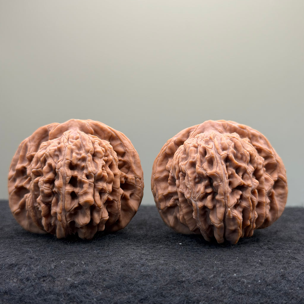 Four Towers Wenwan Walnut · 44mm · Natural · Entry Ritual