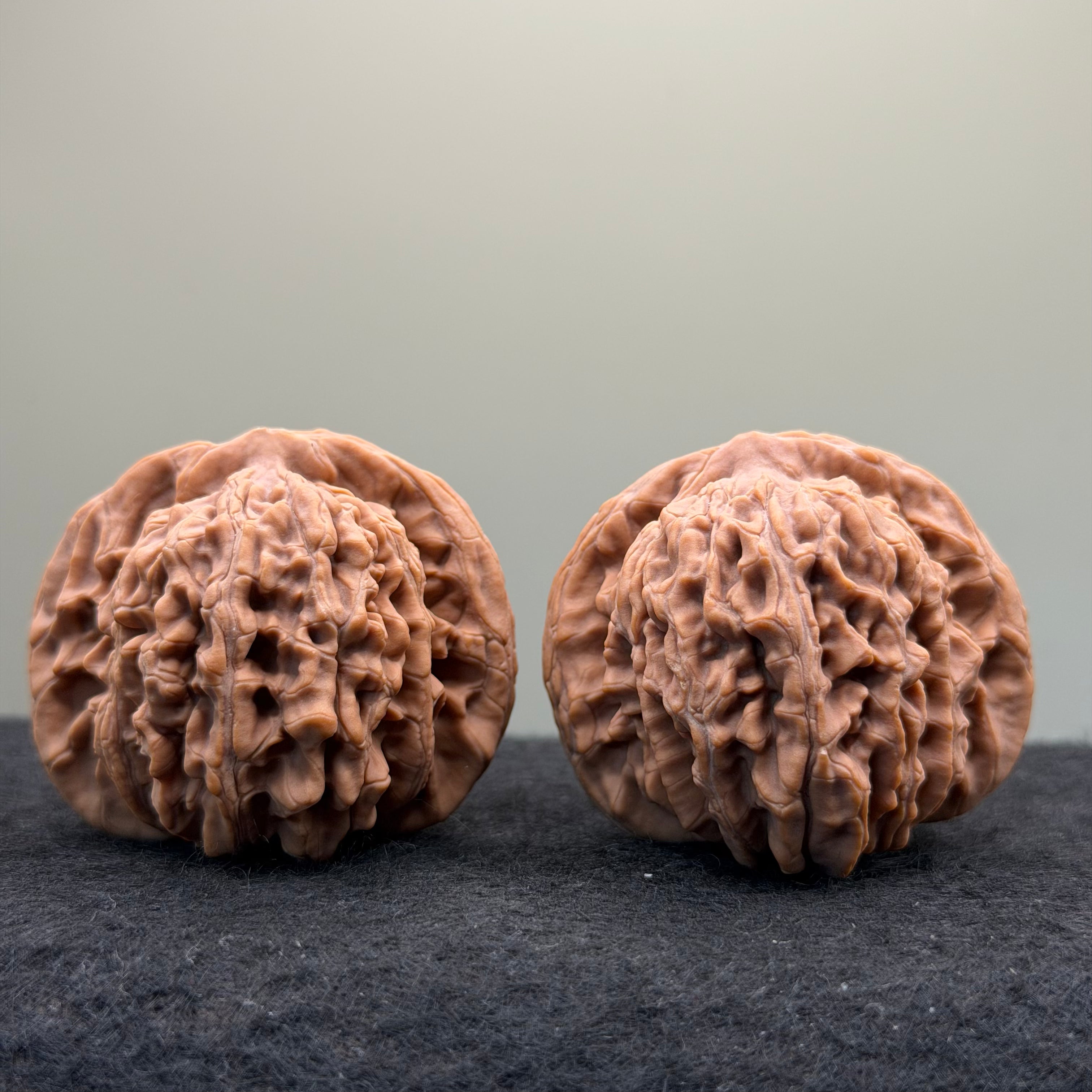 Four Towers Wenwan Walnut · 44mm · Natural · Entry Ritual